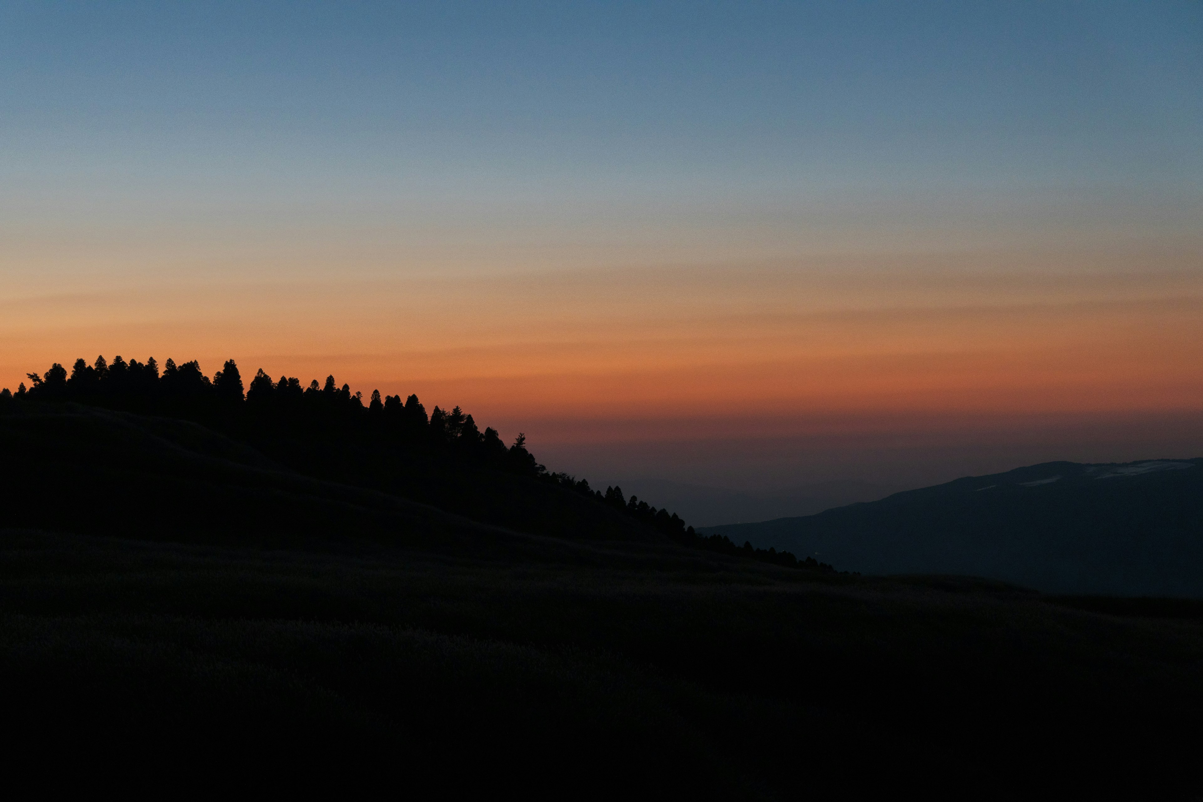 Vue panoramique d'un coucher de soleil avec des couleurs dégradées et la silhouette d'arbres