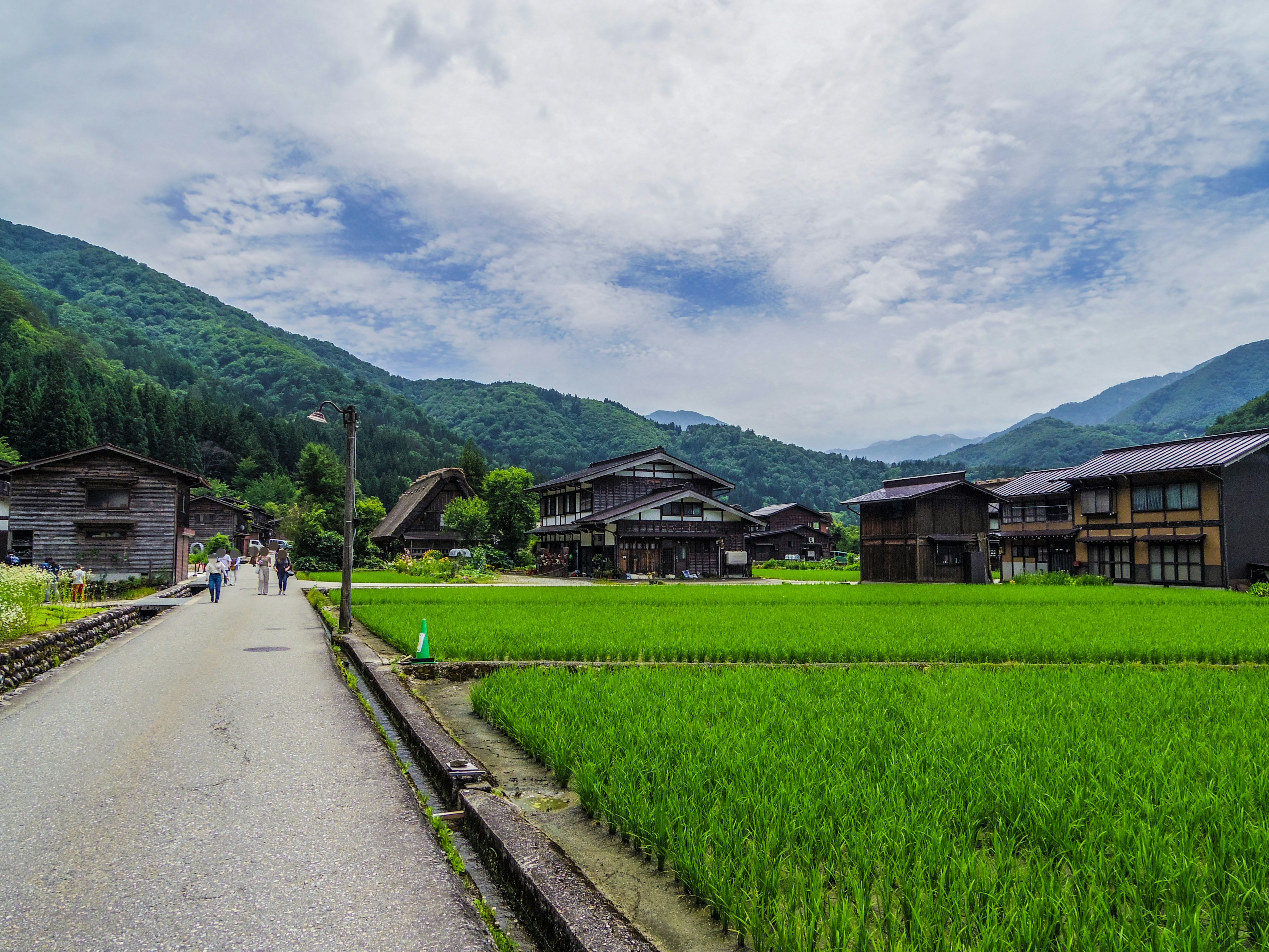 Vista escénica de un pueblo japonés rodeado de campos de arroz verdes con montañas al fondo