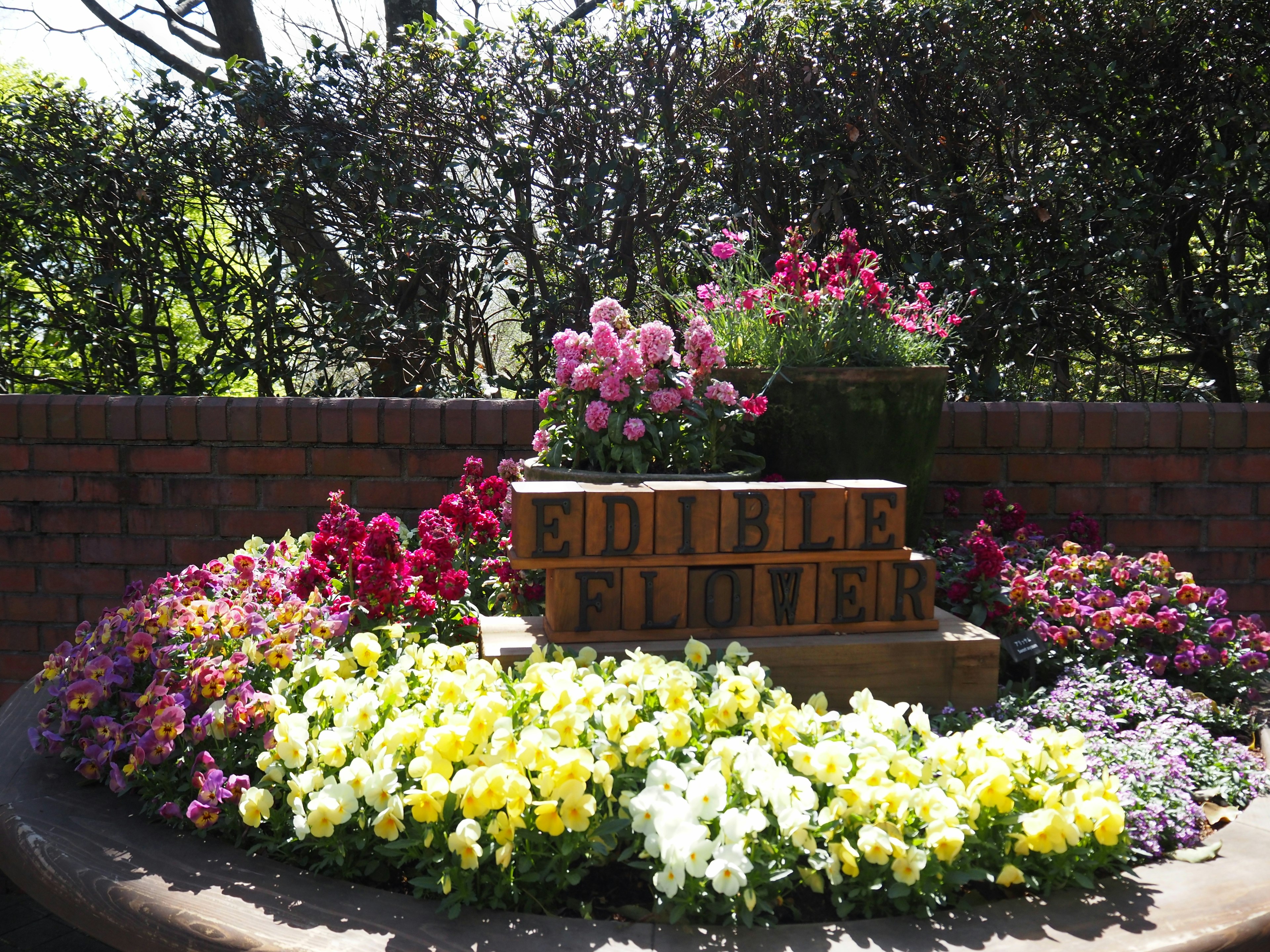 色とりどりの花々に囲まれたエディブルフラワーのサイン