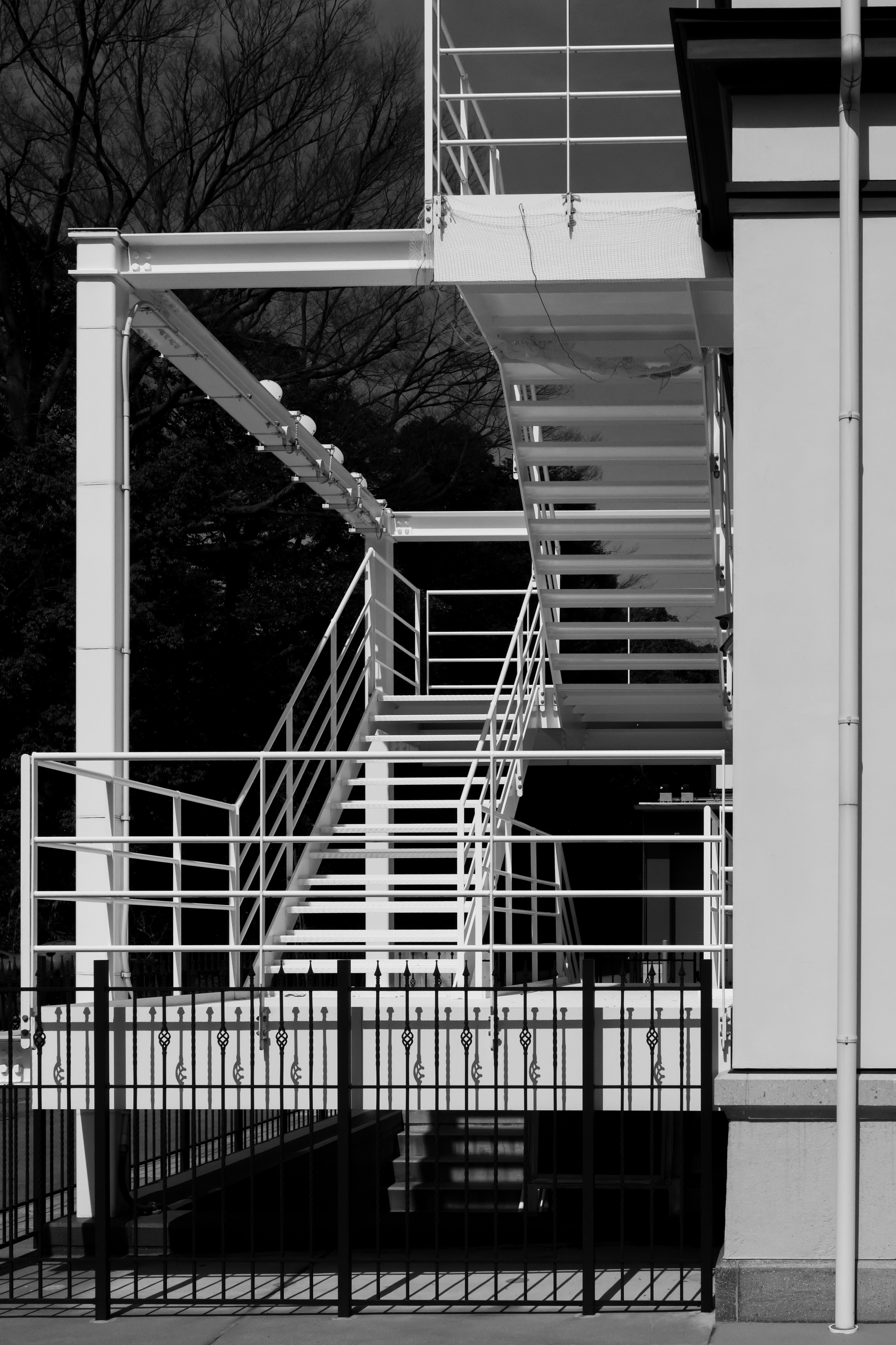 Escalera y barandillas en blanco y negro con arquitectura moderna