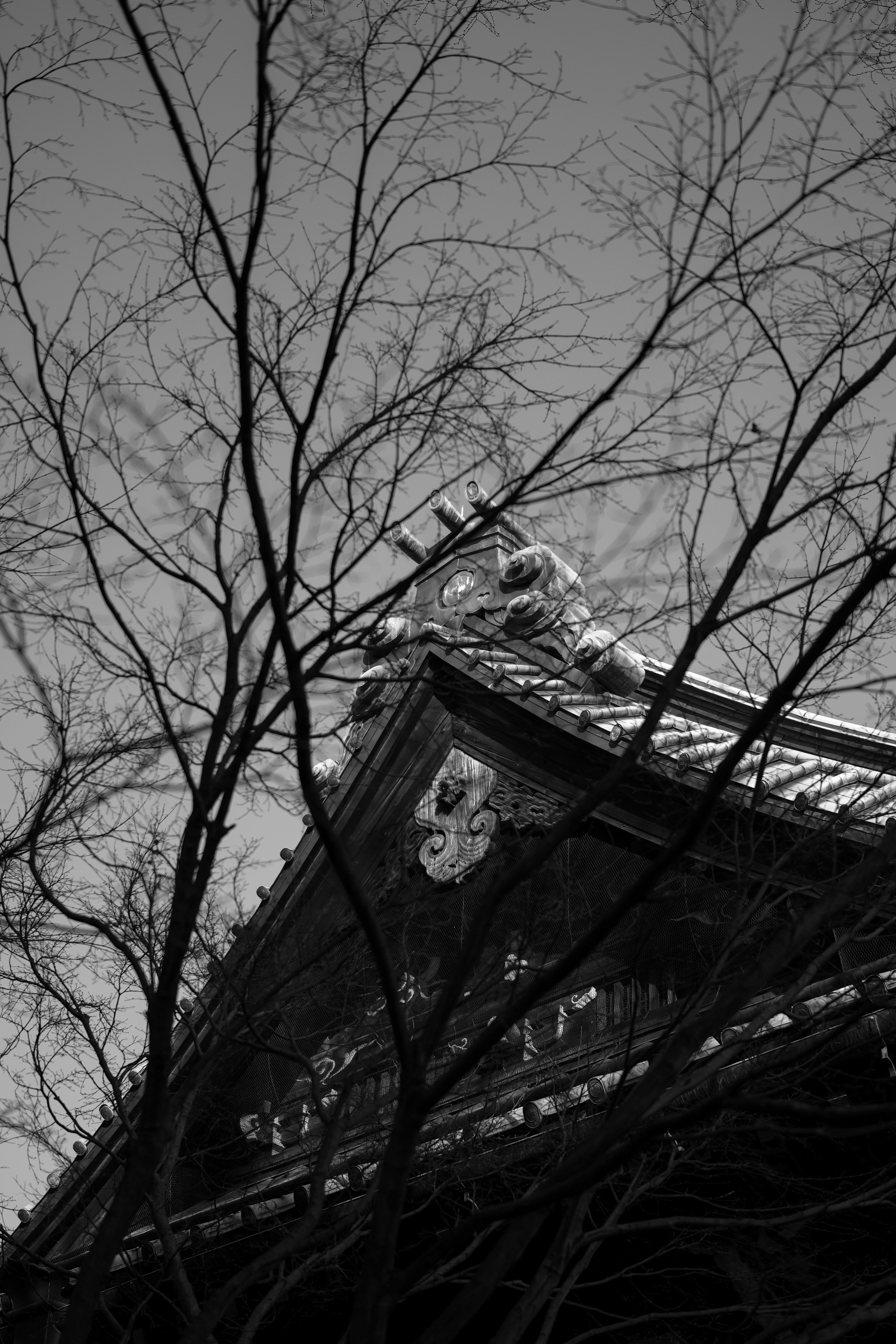 Tejado cubierto de nieve de un antiguo templo japonés con árboles de invierno