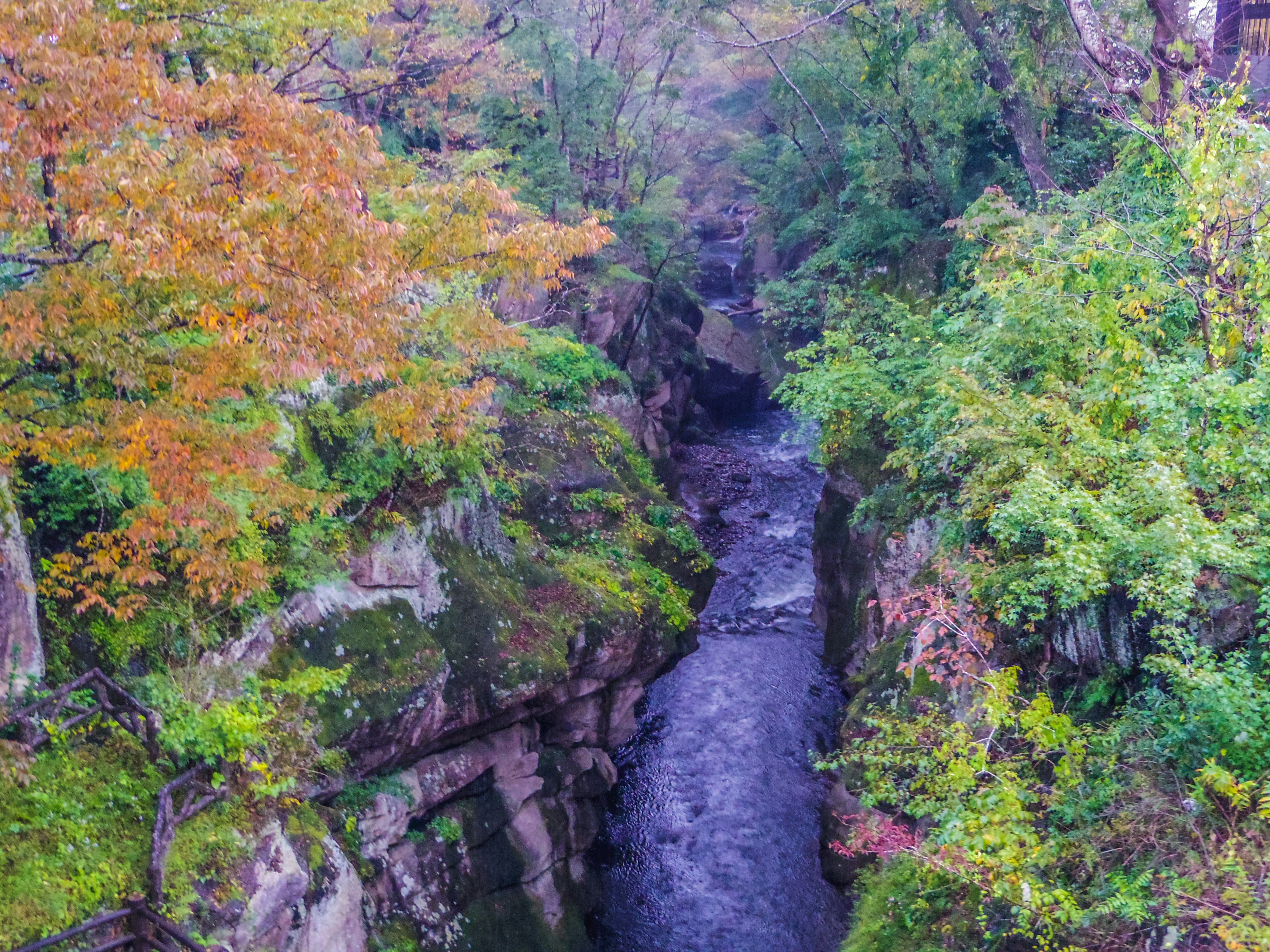 Scenic view of a canyon with a flowing river surrounded by autumn foliage