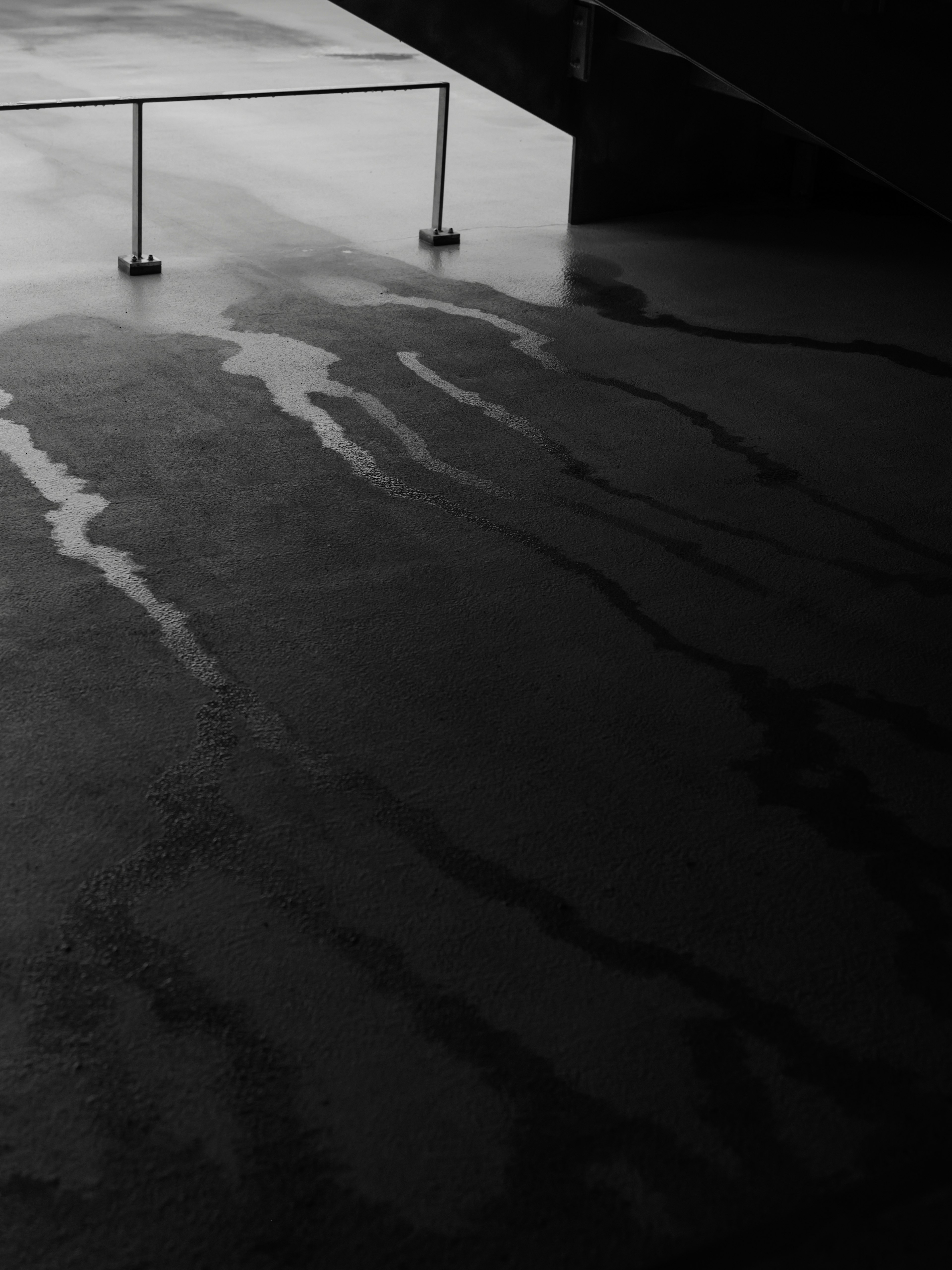 Contrasting black and white floor with water patterns and a railing