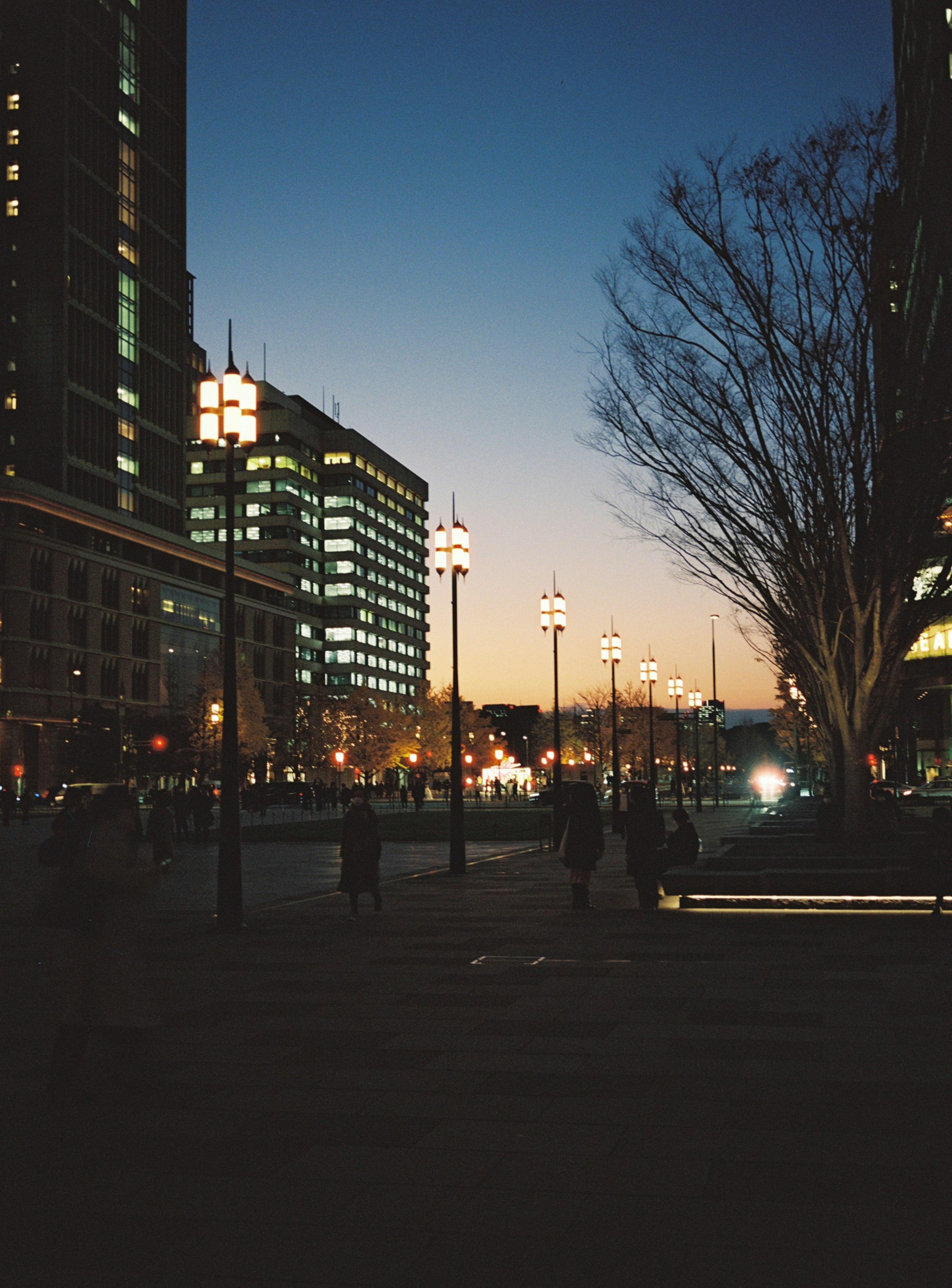 Cityscape at dusk with streetlights lining the pathway