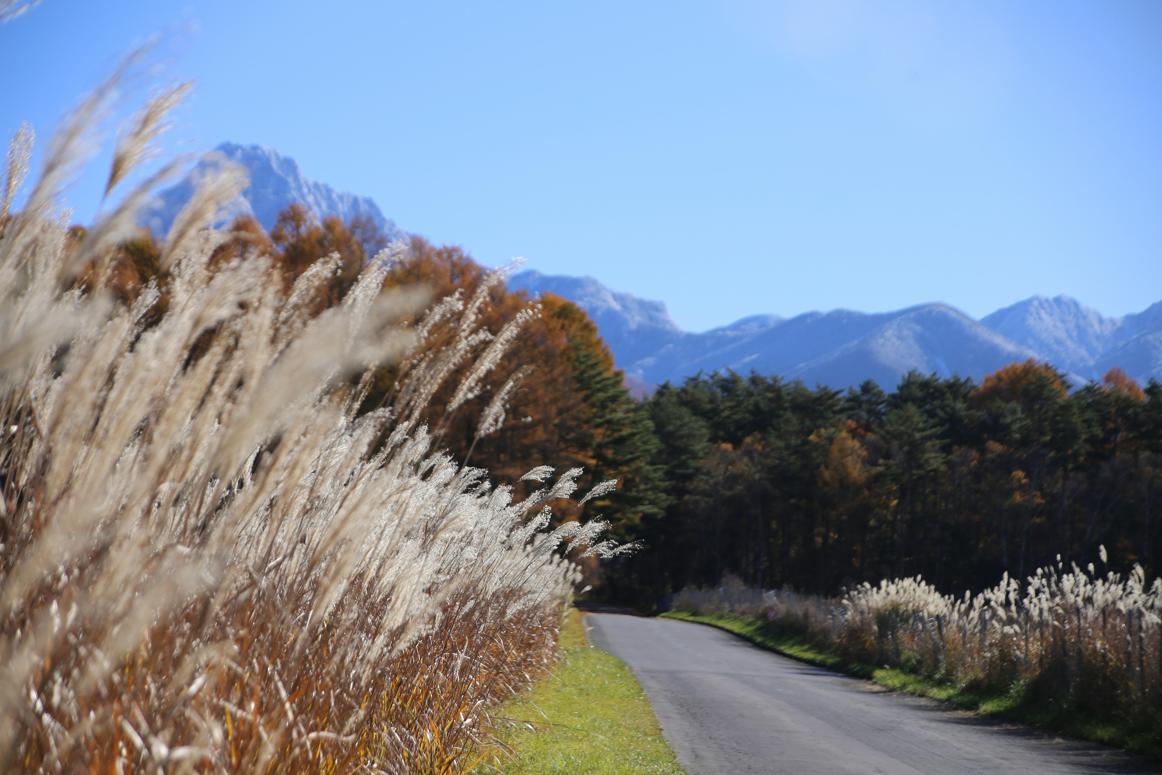 青空の下、草原の道と山々が広がる風景