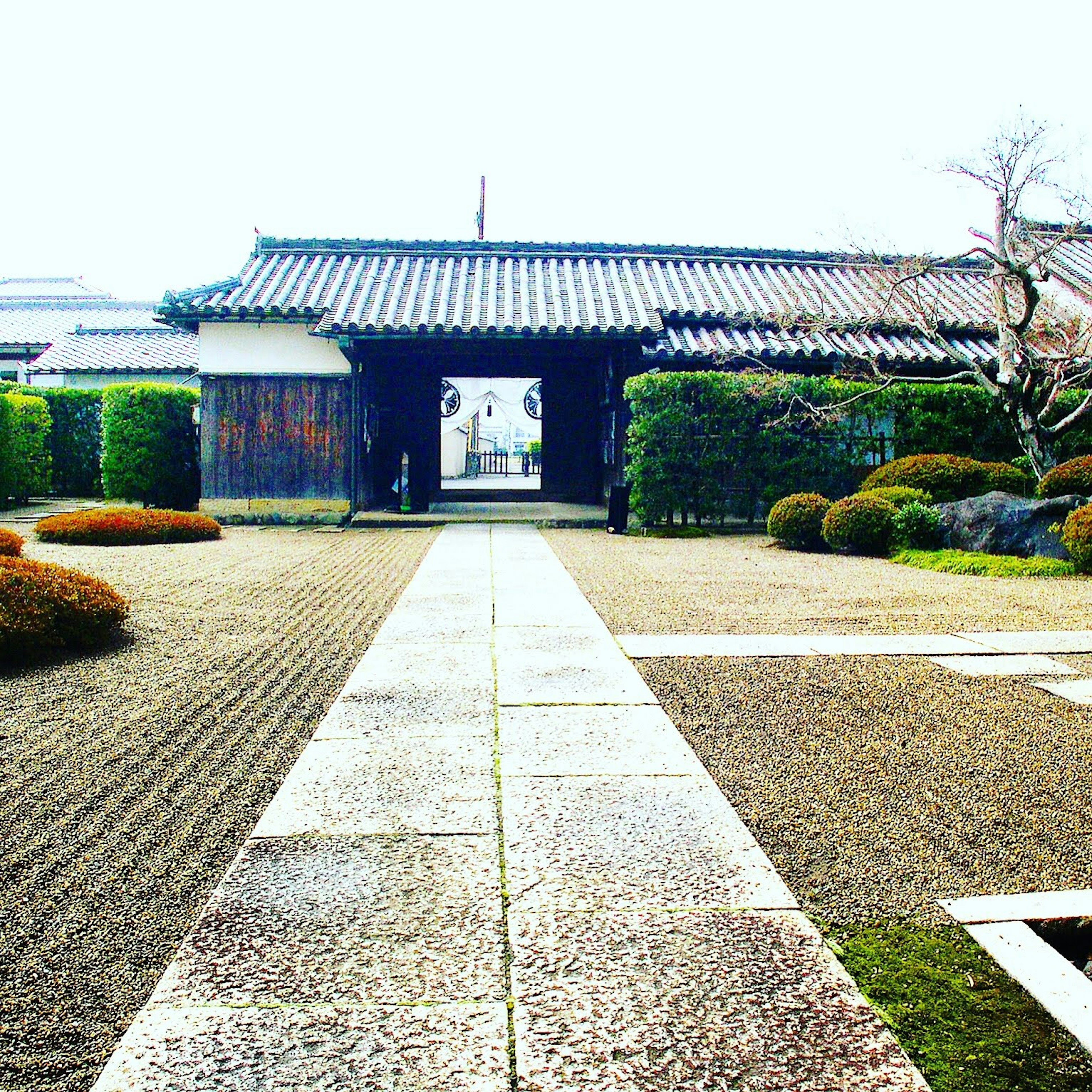 Entrance of a serene Japanese garden with neatly trimmed shrubs and a stone pathway