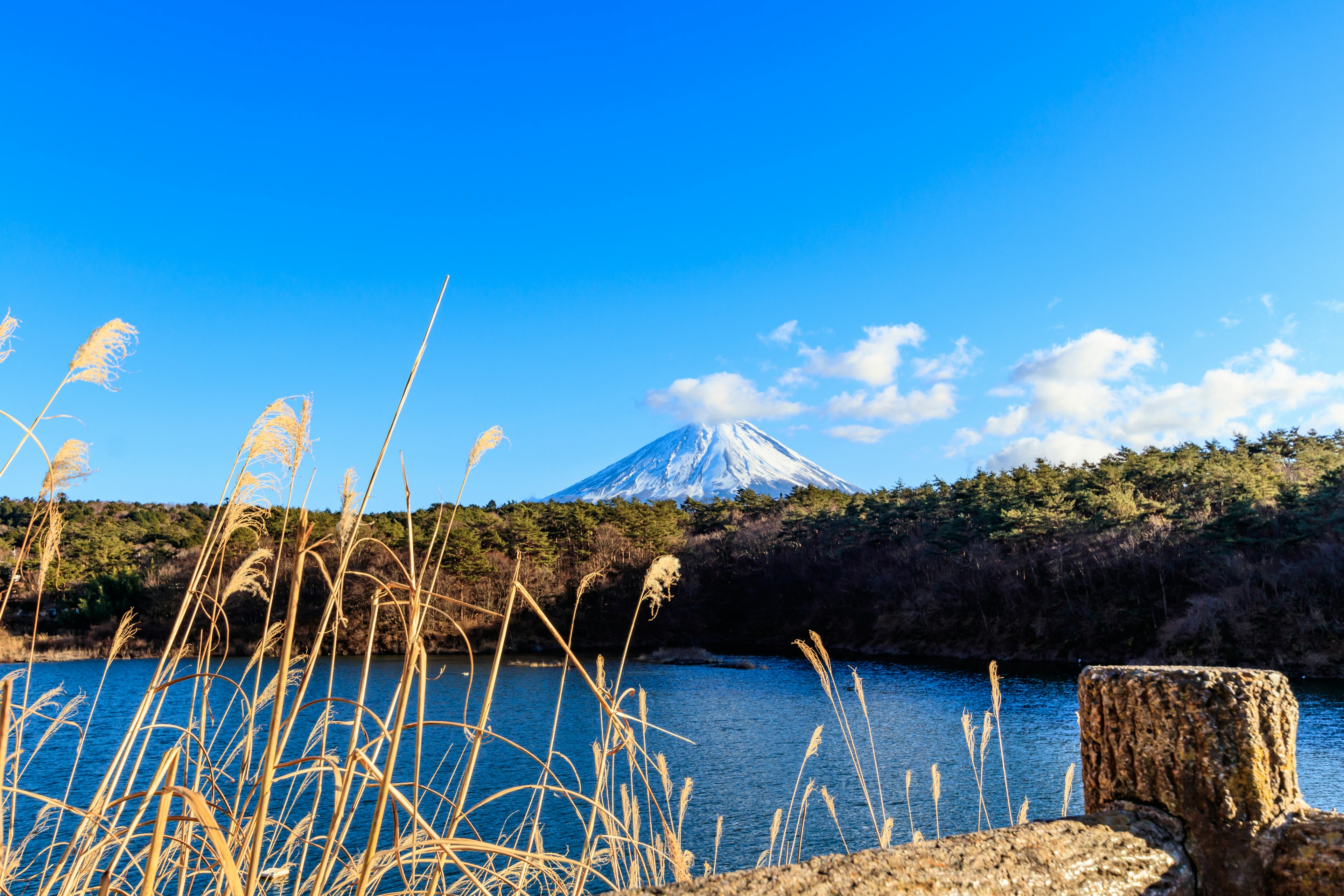 Paysage avec une montagne enneigée sous un ciel bleu et un lac calme