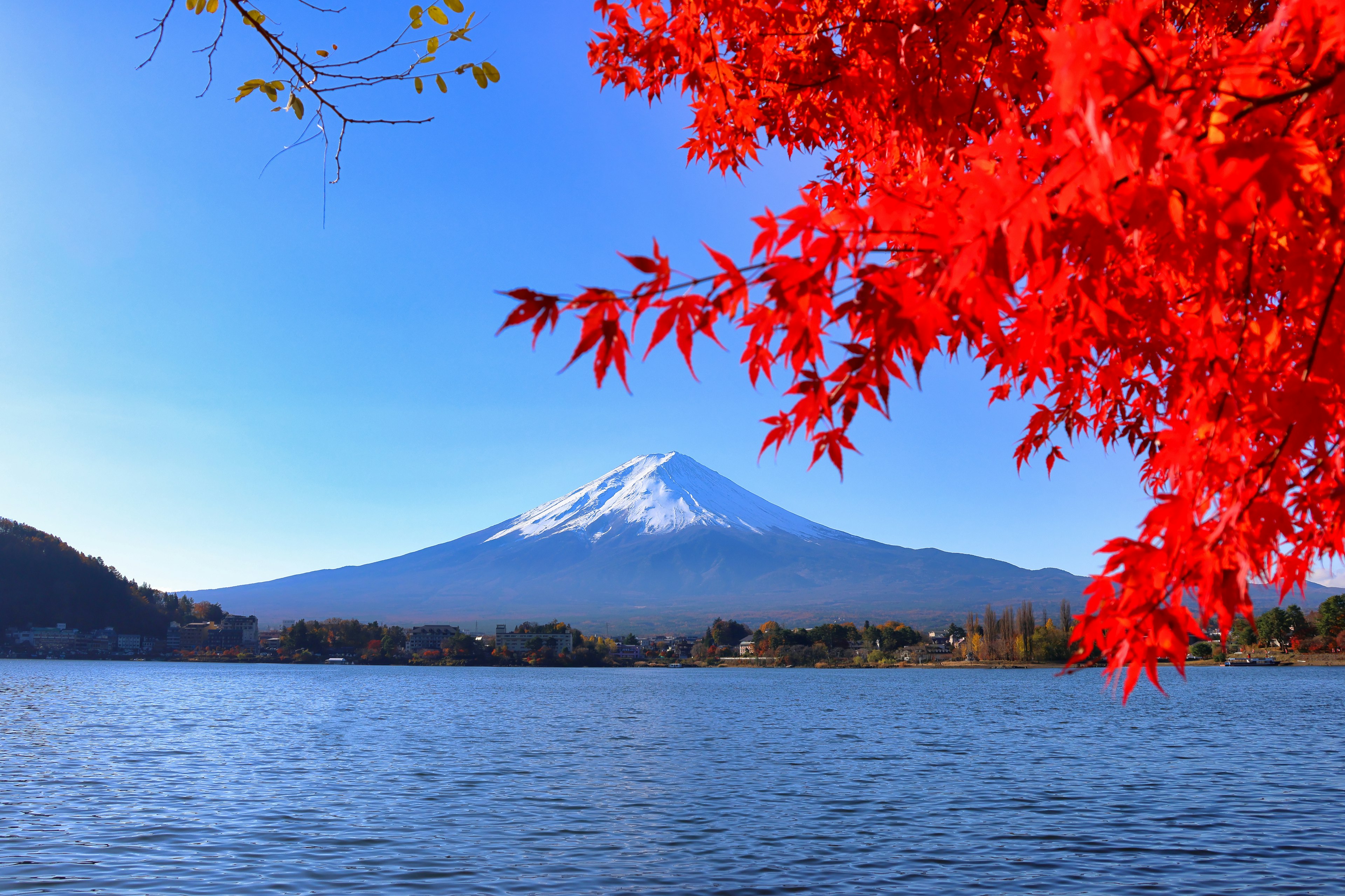 Vista panoramica del monte Fuji con foglie autunnali rosse vivaci