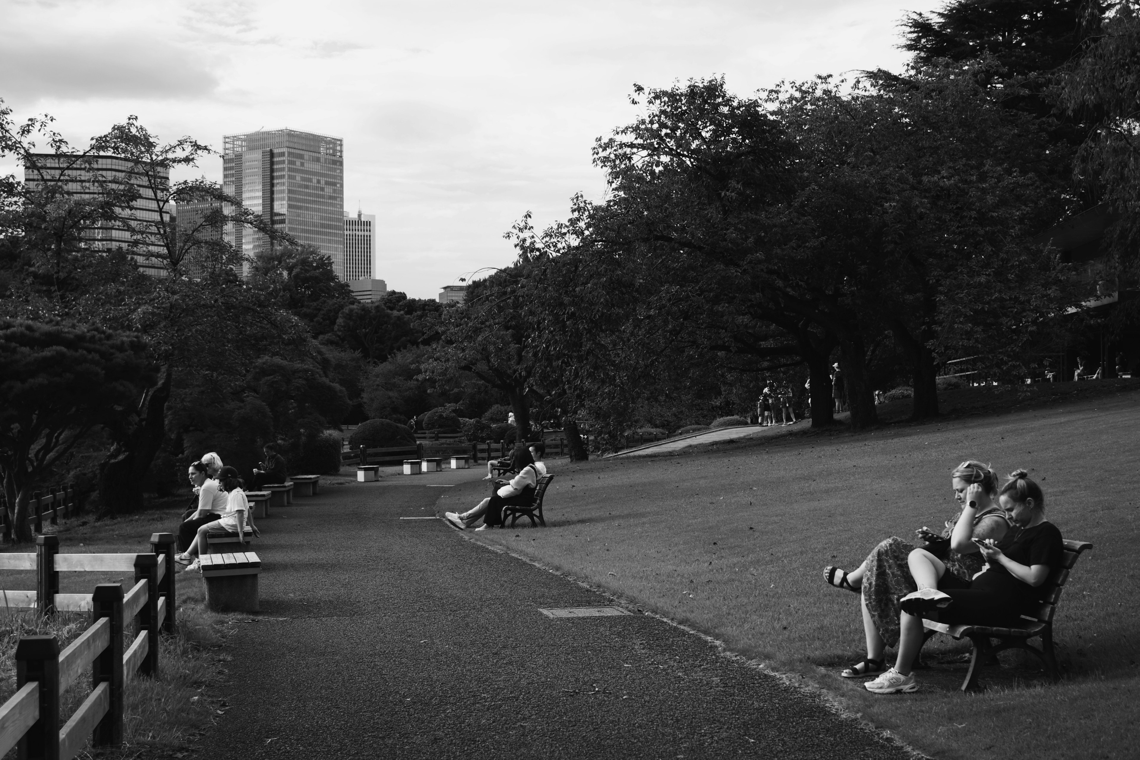 Foto en blanco y negro de parejas sentadas en bancos en un parque