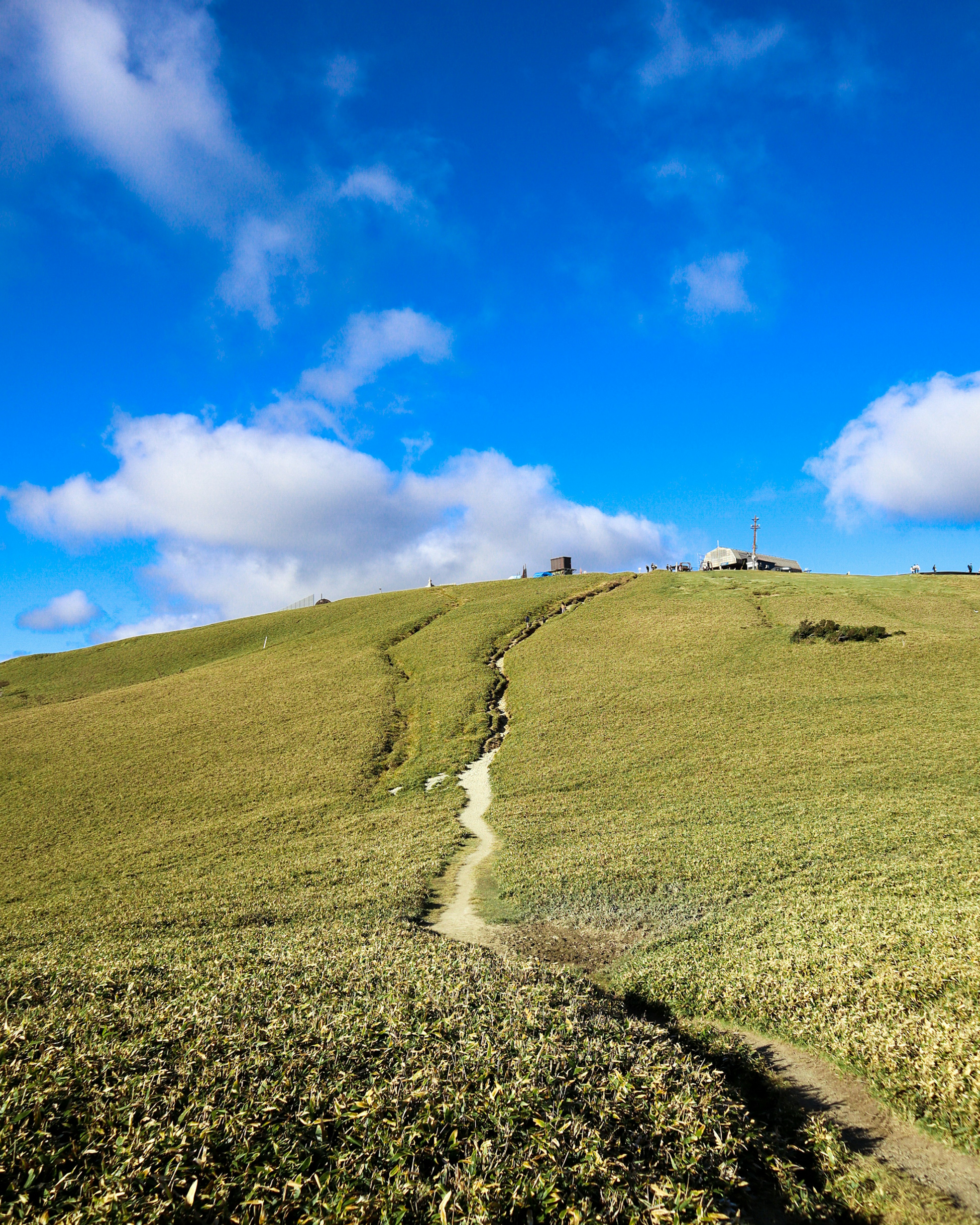 Bukit hijau di bawah langit biru dengan jalan berkelok