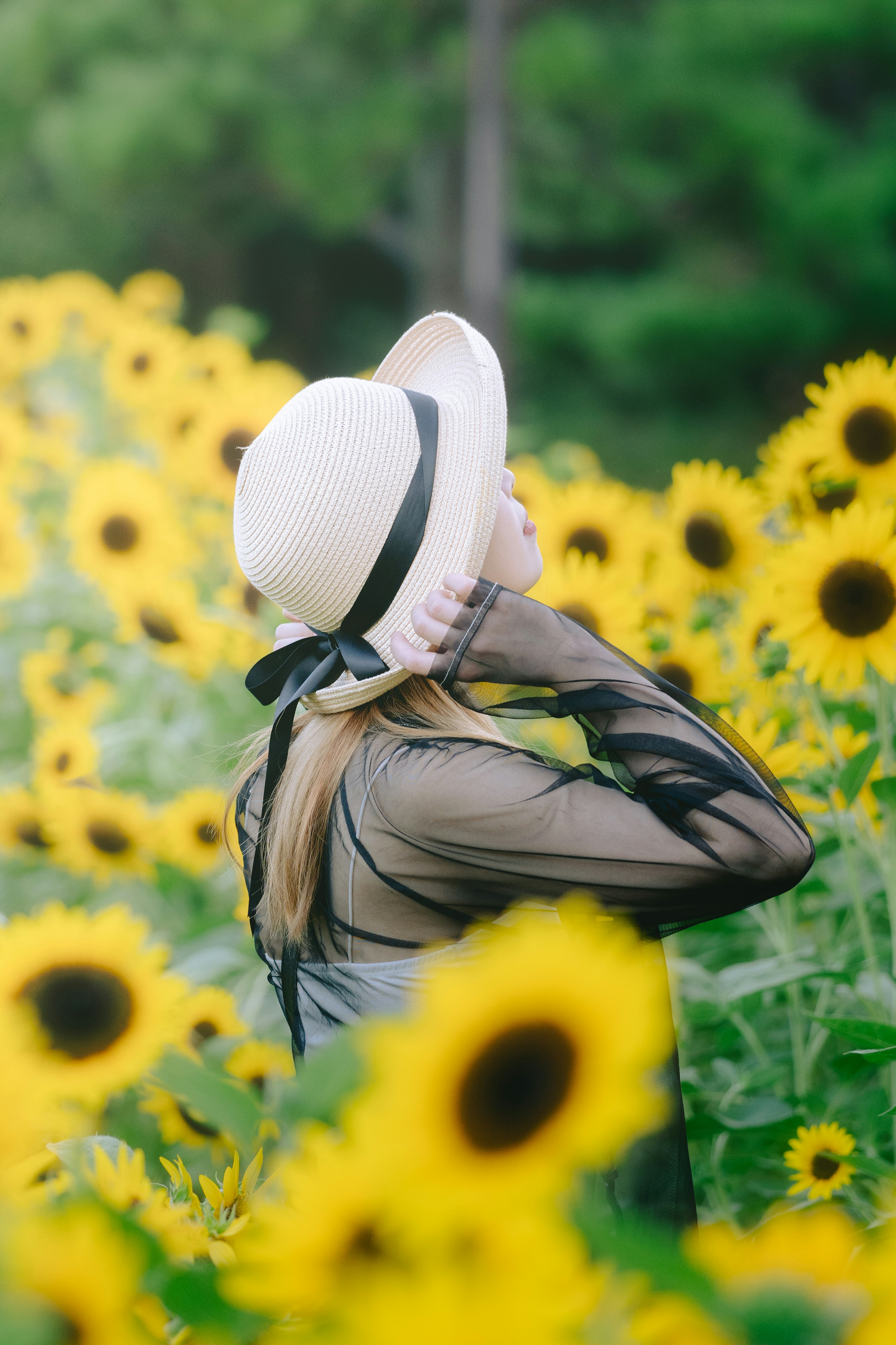 A woman wearing a white hat stands among sunflowers looking back