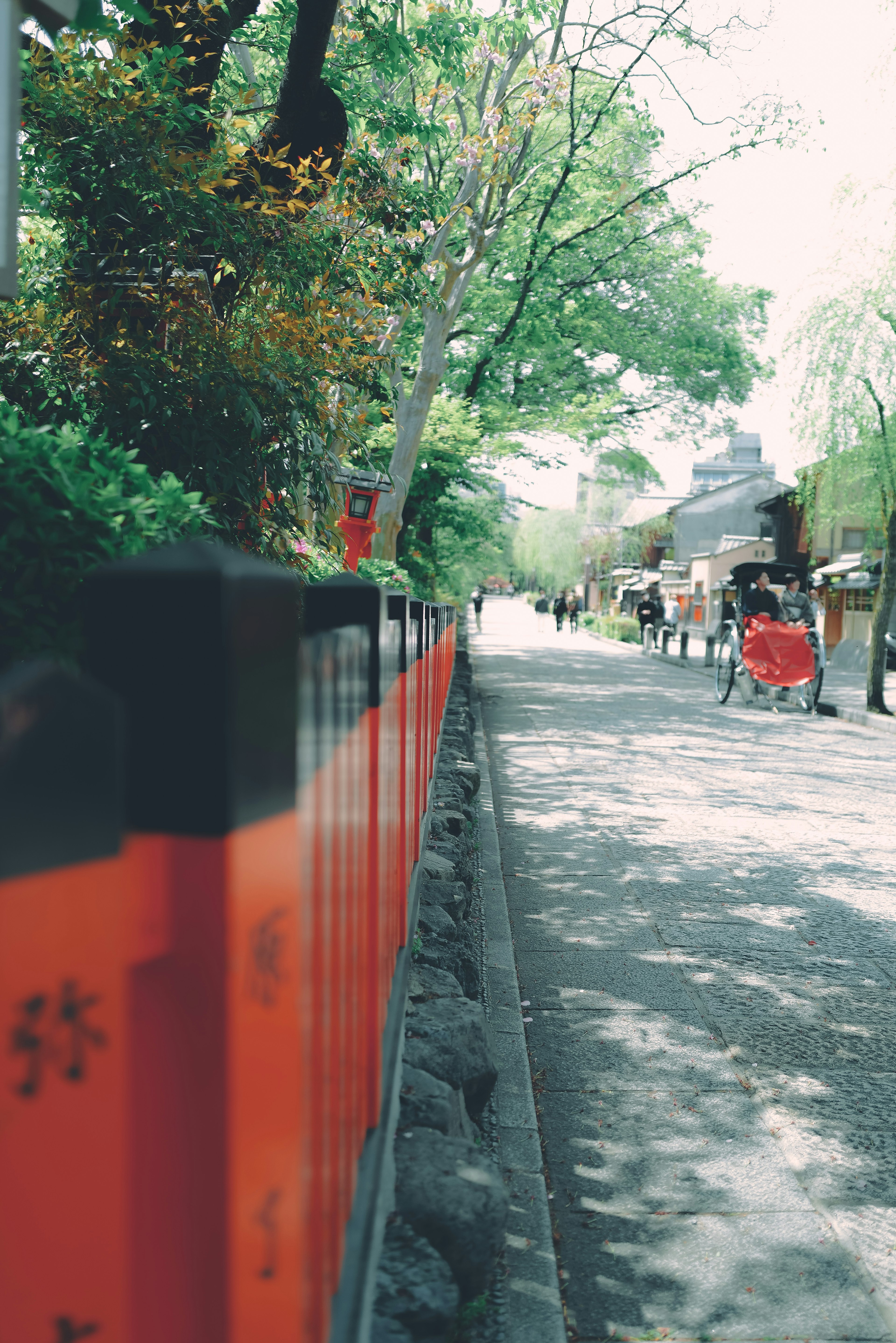 Jalan yang dilapisi gerbang torii merah dan pohon hijau