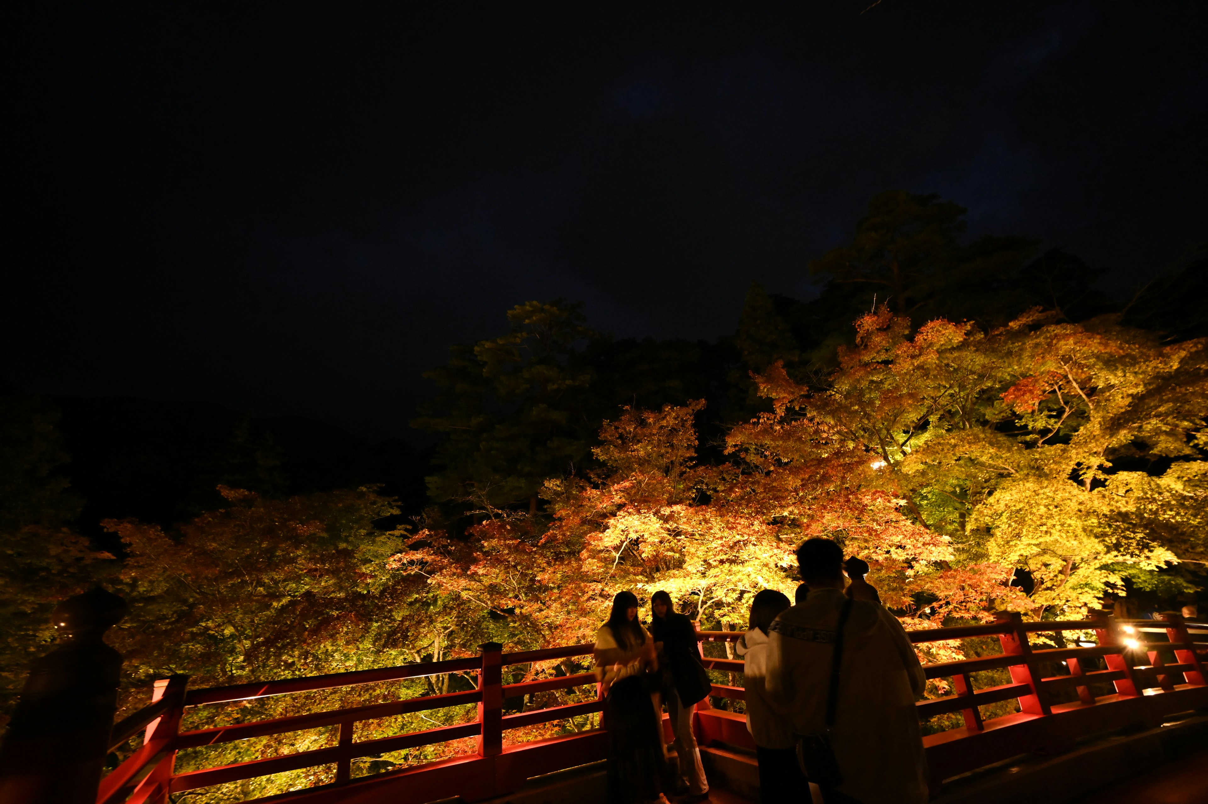 夜の橋の上で観光客が紅葉を楽しむ様子