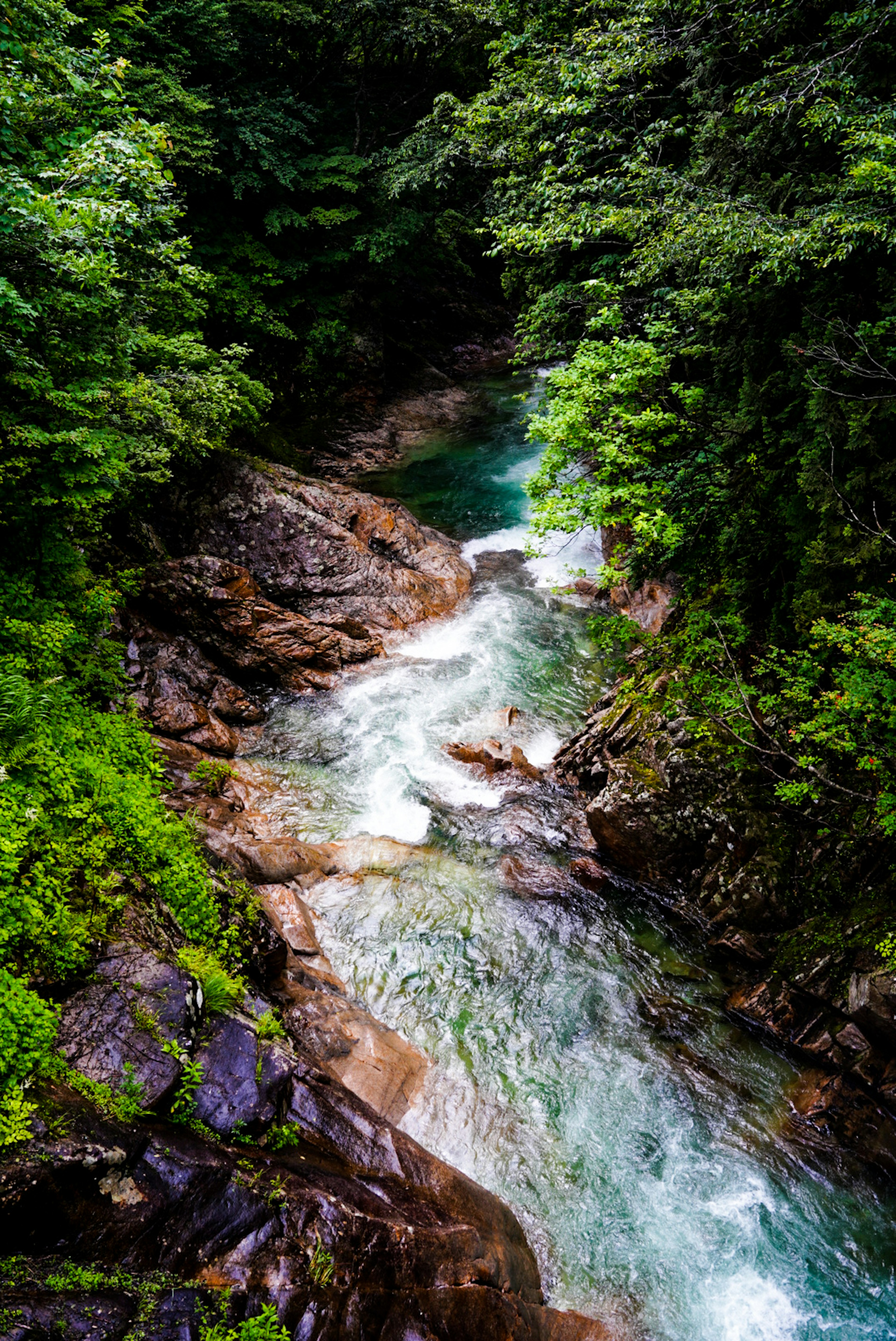 Un fiume sereno che scorre attraverso una vegetazione lussureggiante e un terreno roccioso