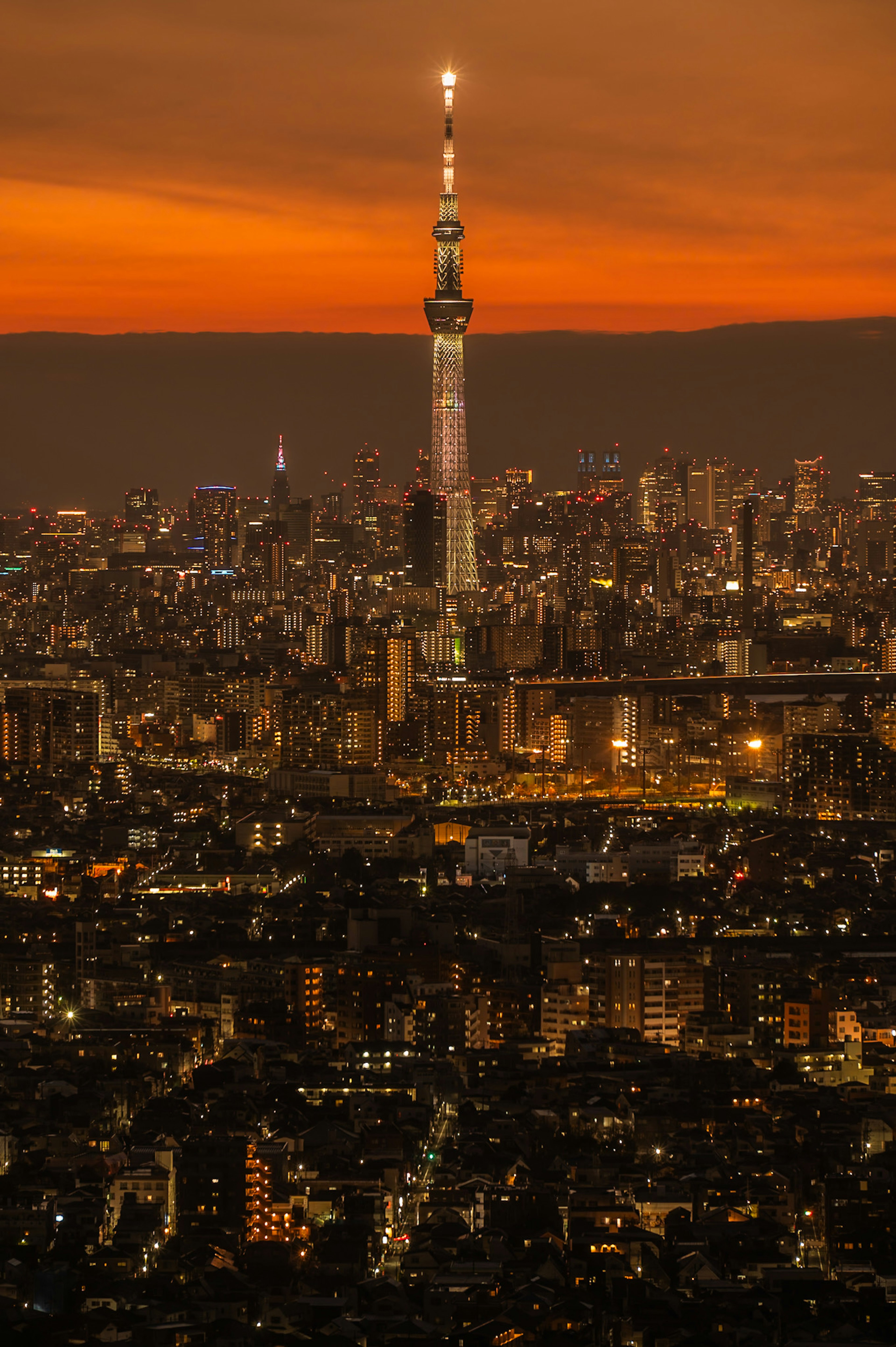 Tokyo Skytree được chiếu sáng vào lúc hoàng hôn trên đường chân trời thành phố