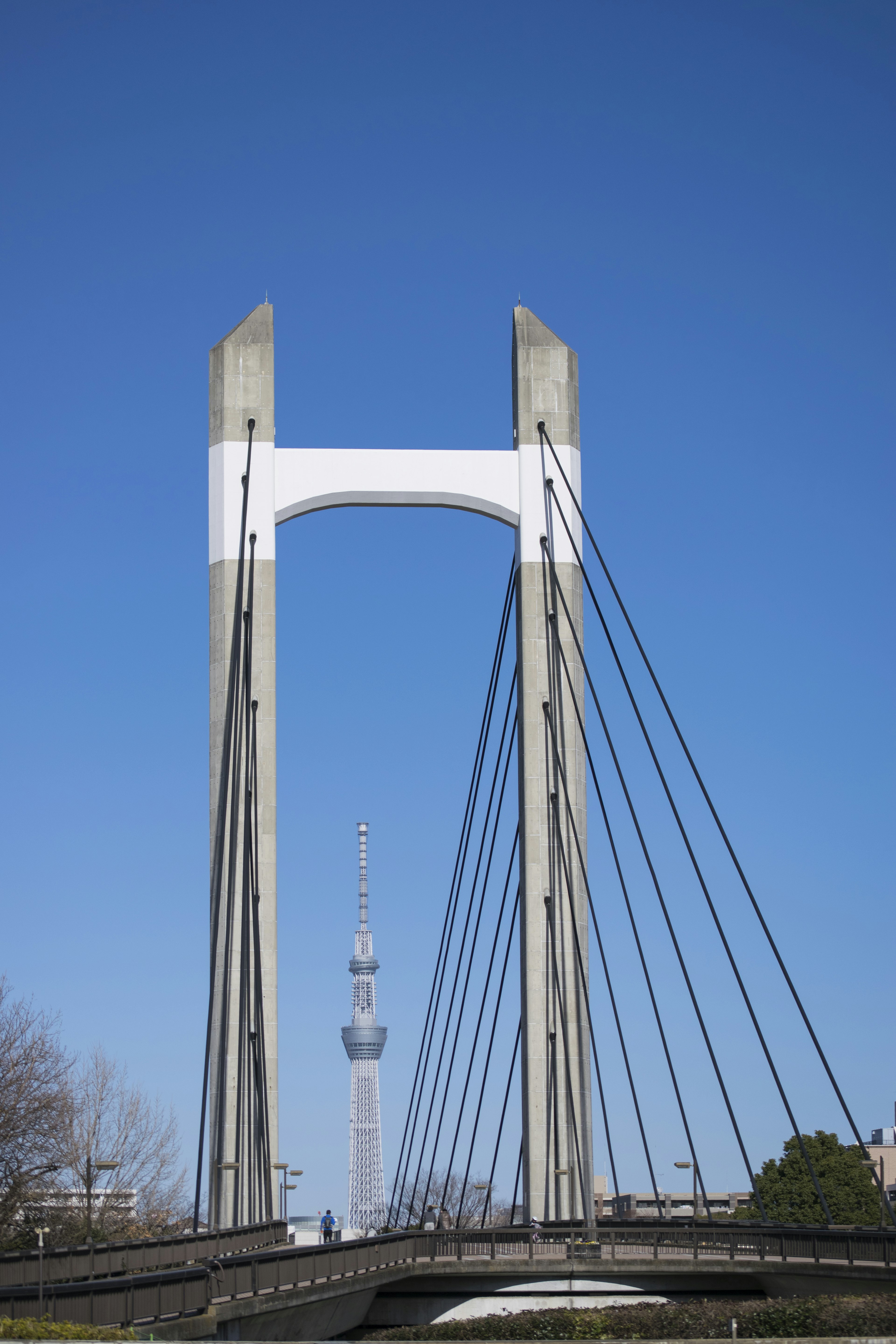 青空の下に立つ現代的な吊り橋とその背後にある東京スカイツリー