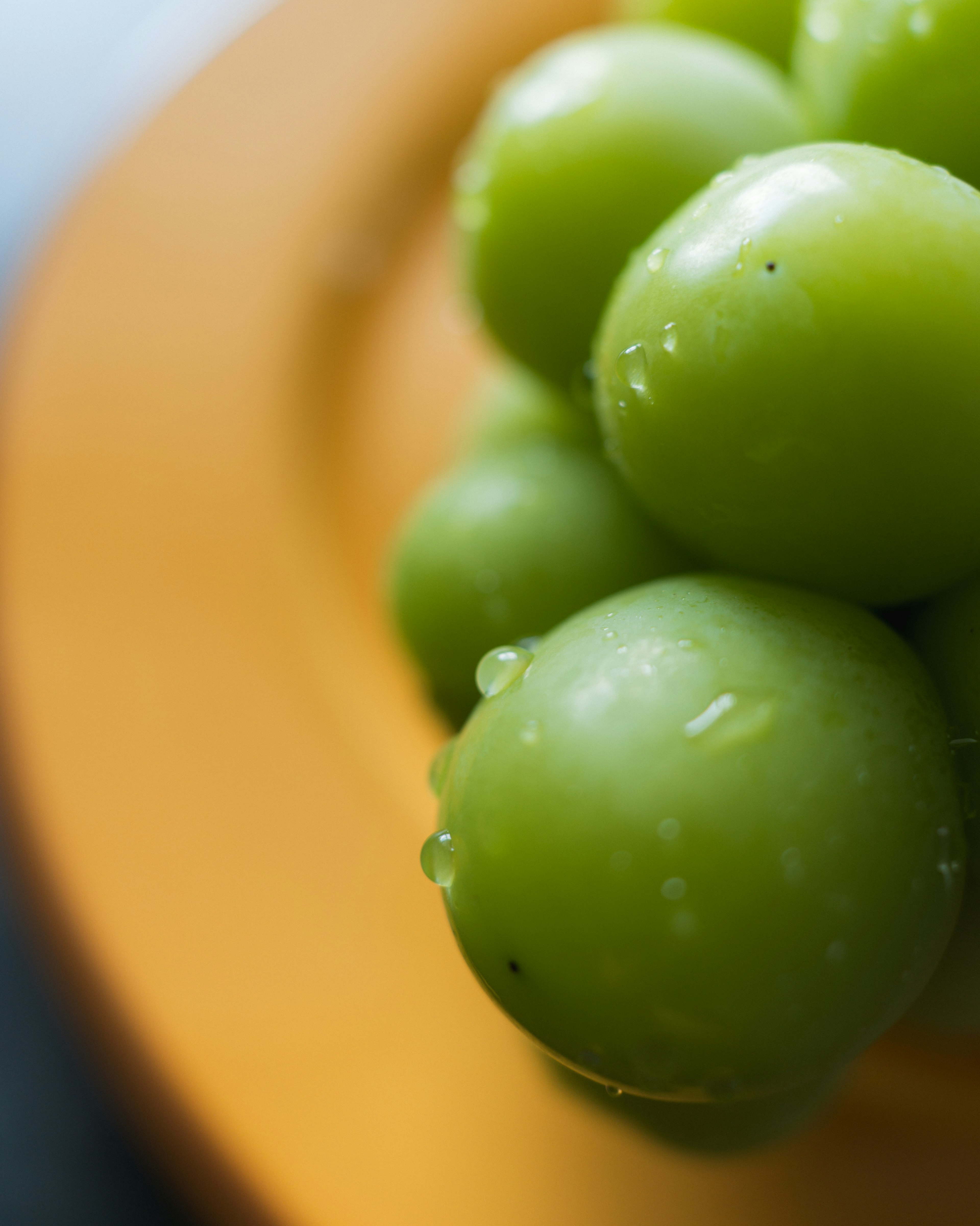 Green grapes with water droplets arranged on an orange plate