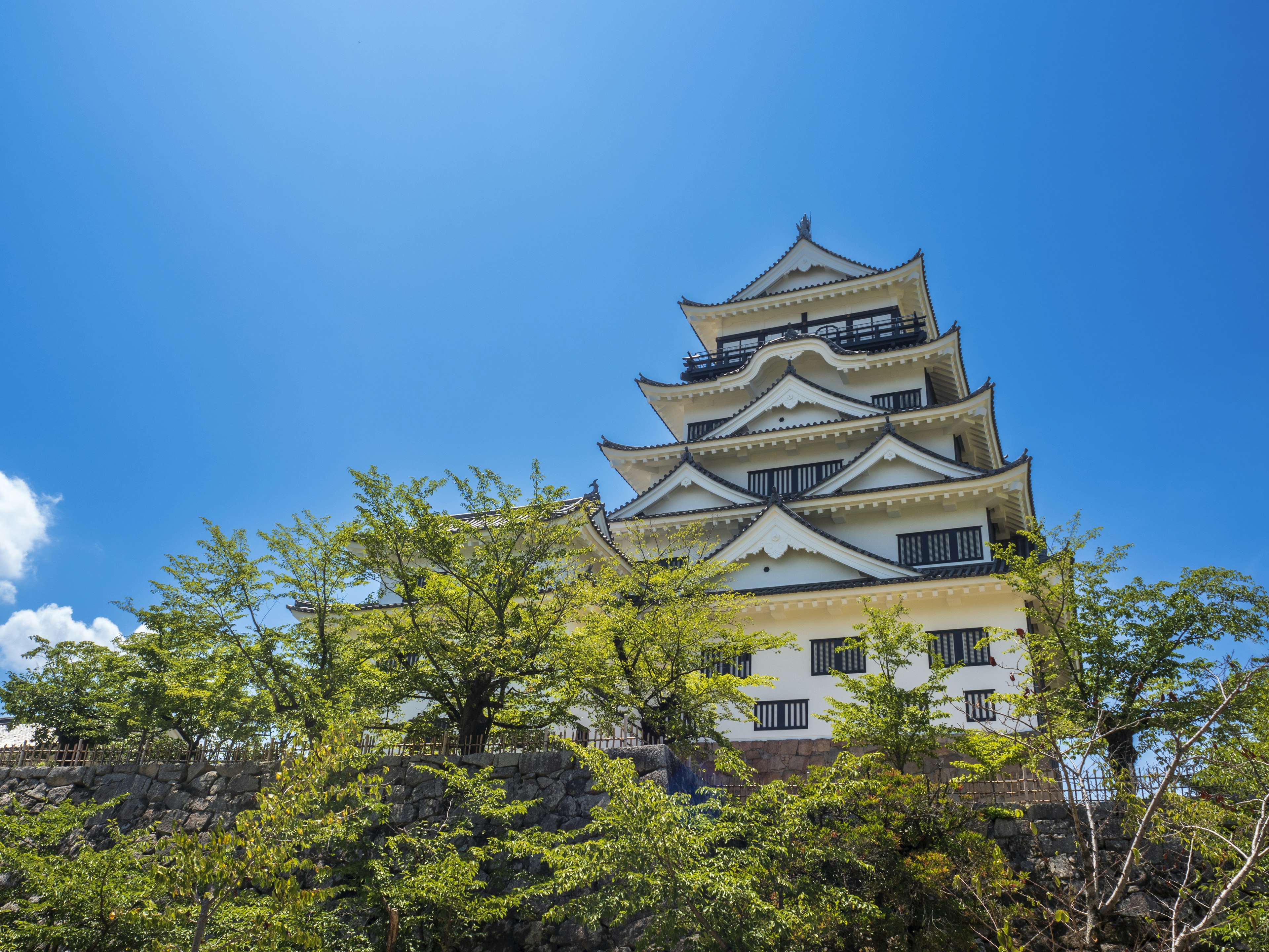 Beautiful Japanese castle exterior towering under a blue sky with green trees