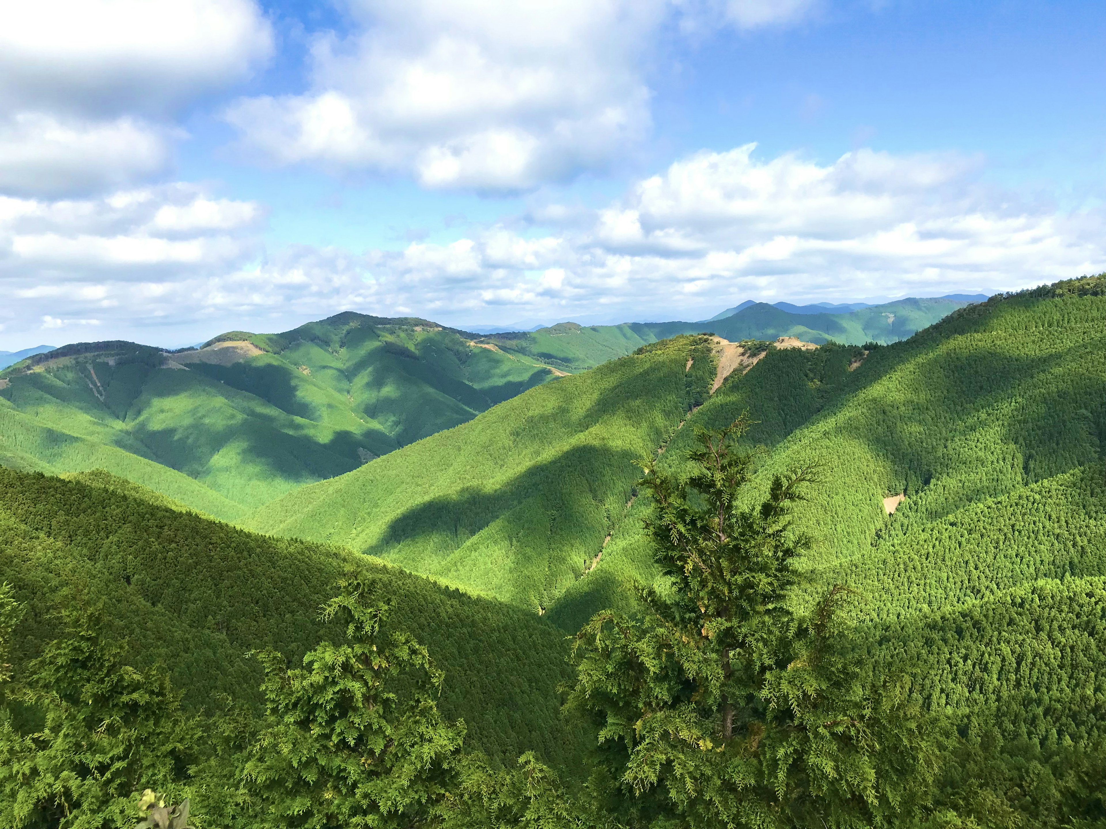 Lush green mountains under a blue sky