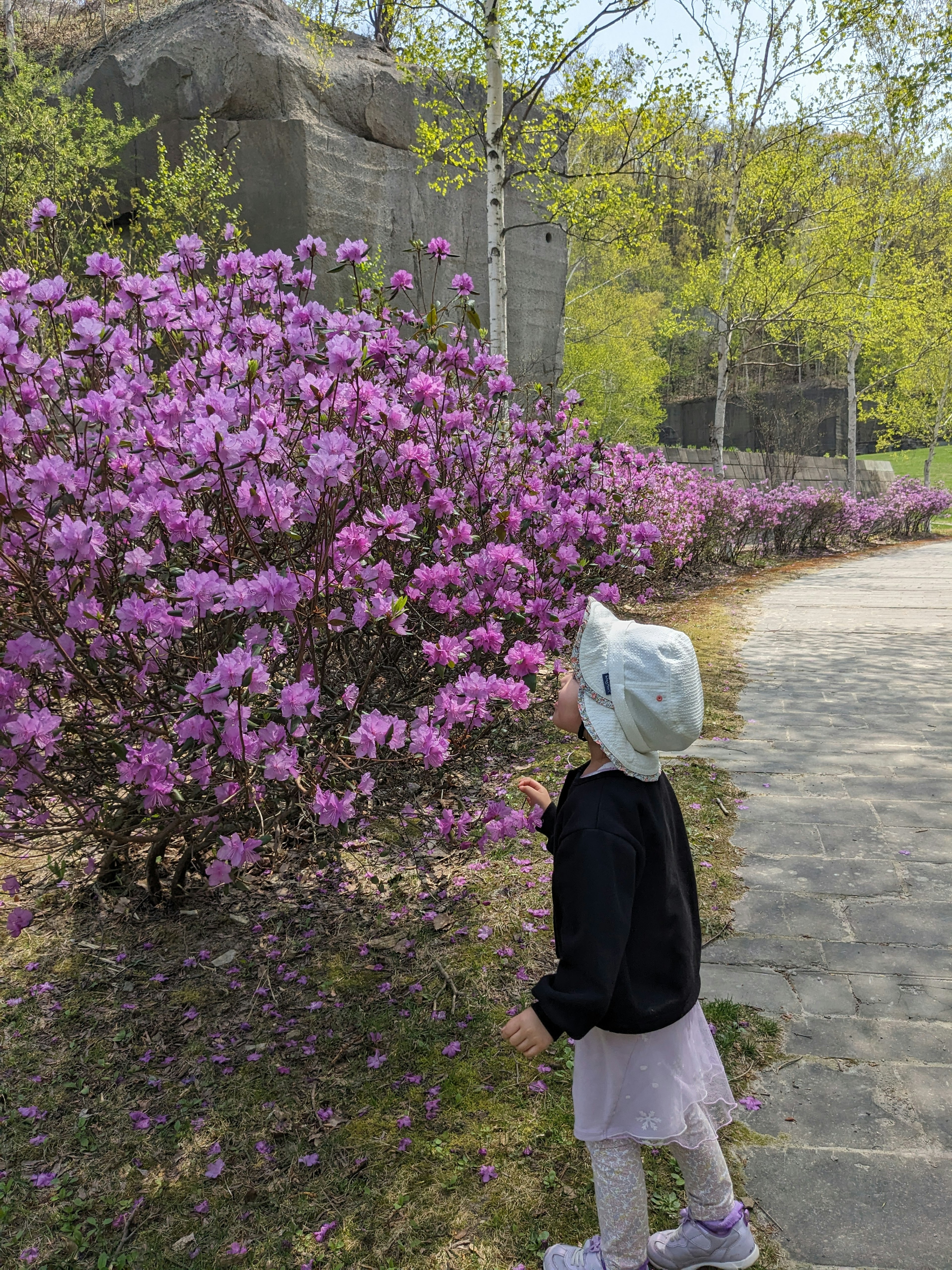 Una niña de pie en un parque admirando flores moradas