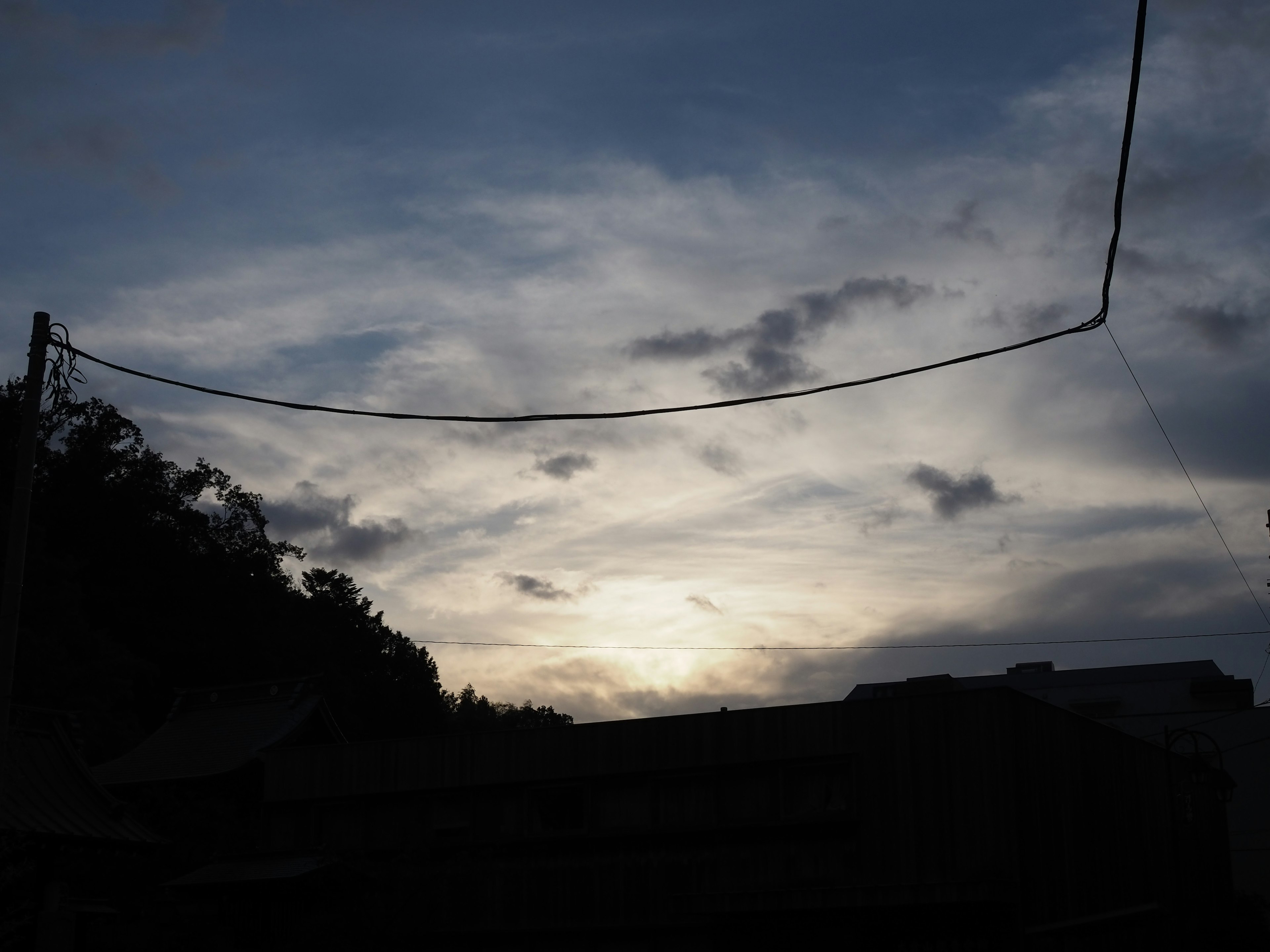 Silhouetten von Bäumen vor einem Dämmerungshimmel