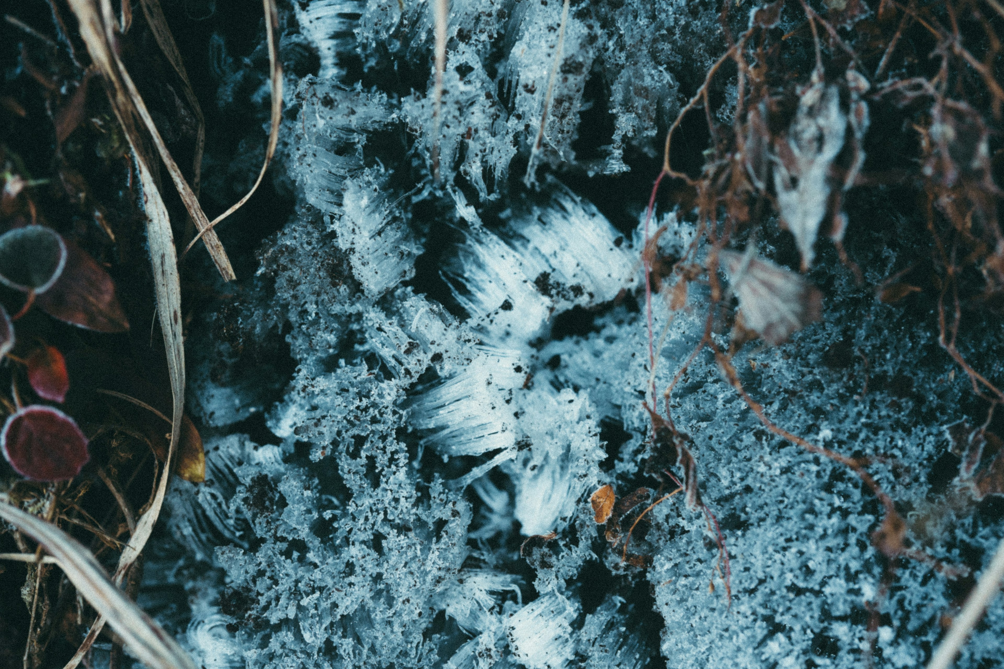 Paisaje natural con cristales de escarcha en el suelo