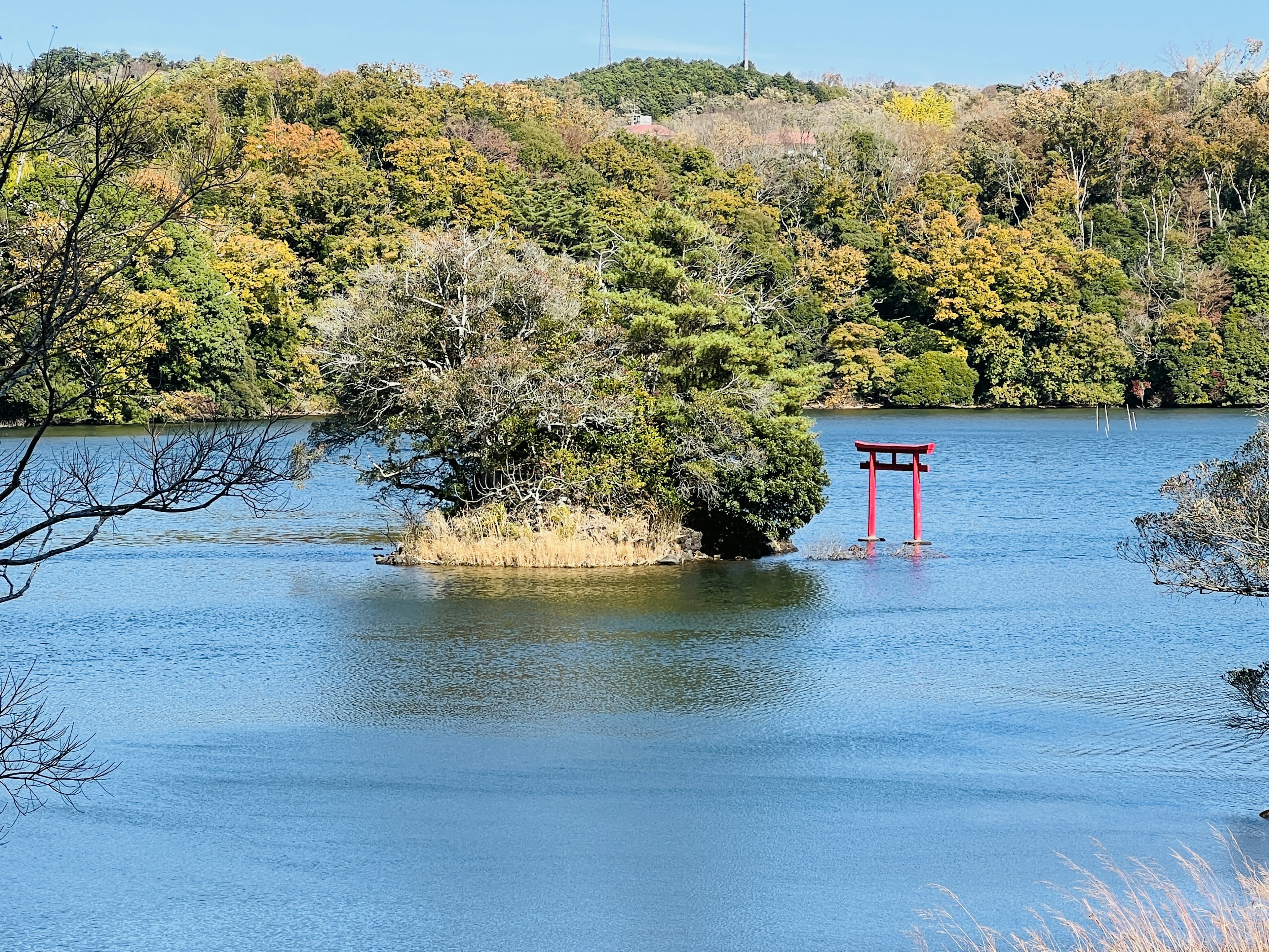 Khung cảnh thơ mộng của một hòn đảo nhỏ với cổng torii đỏ ở giữa hồ