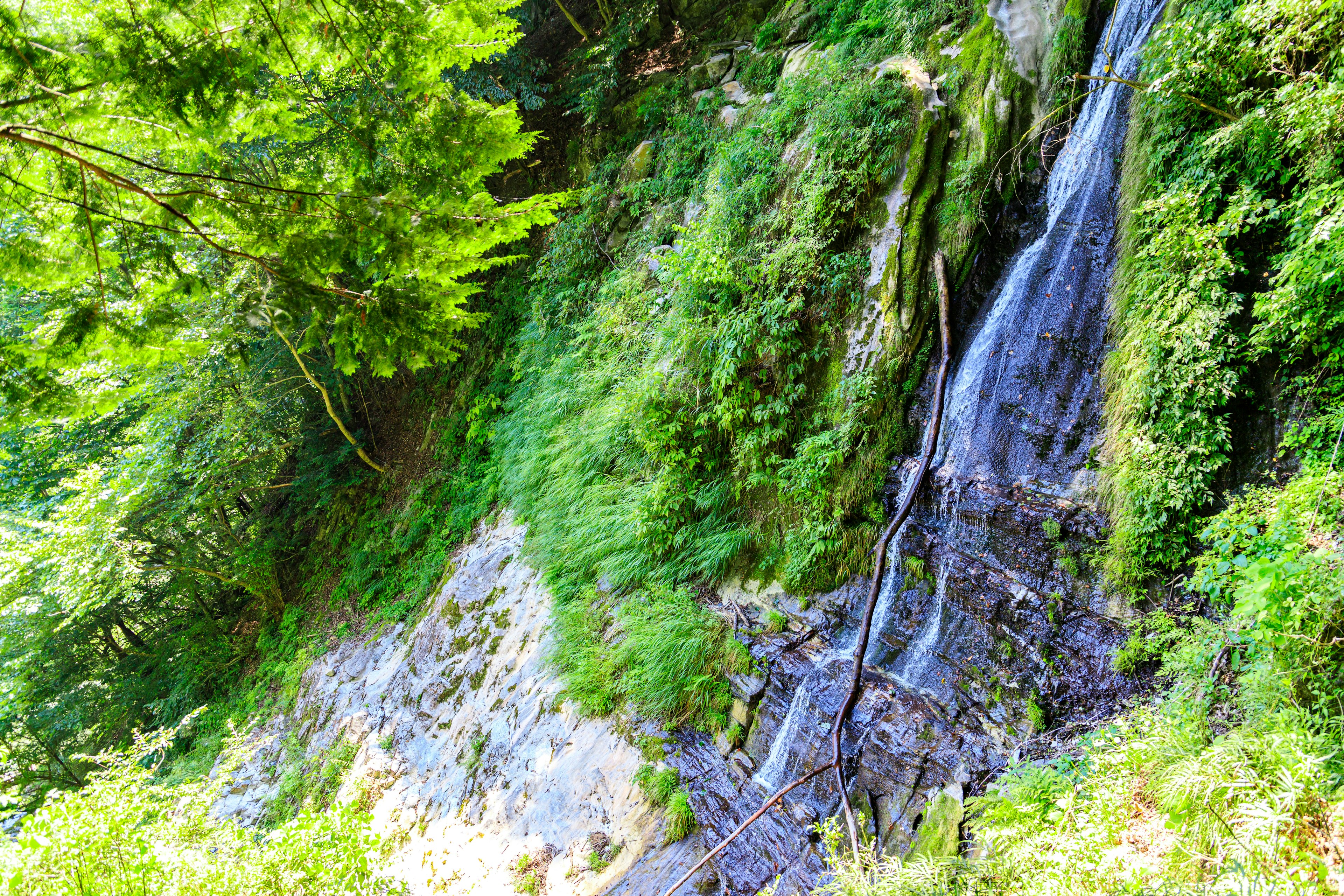 Vista panoramica di una cascata che scende da un pendio roccioso circondato da una vegetazione lussureggiante