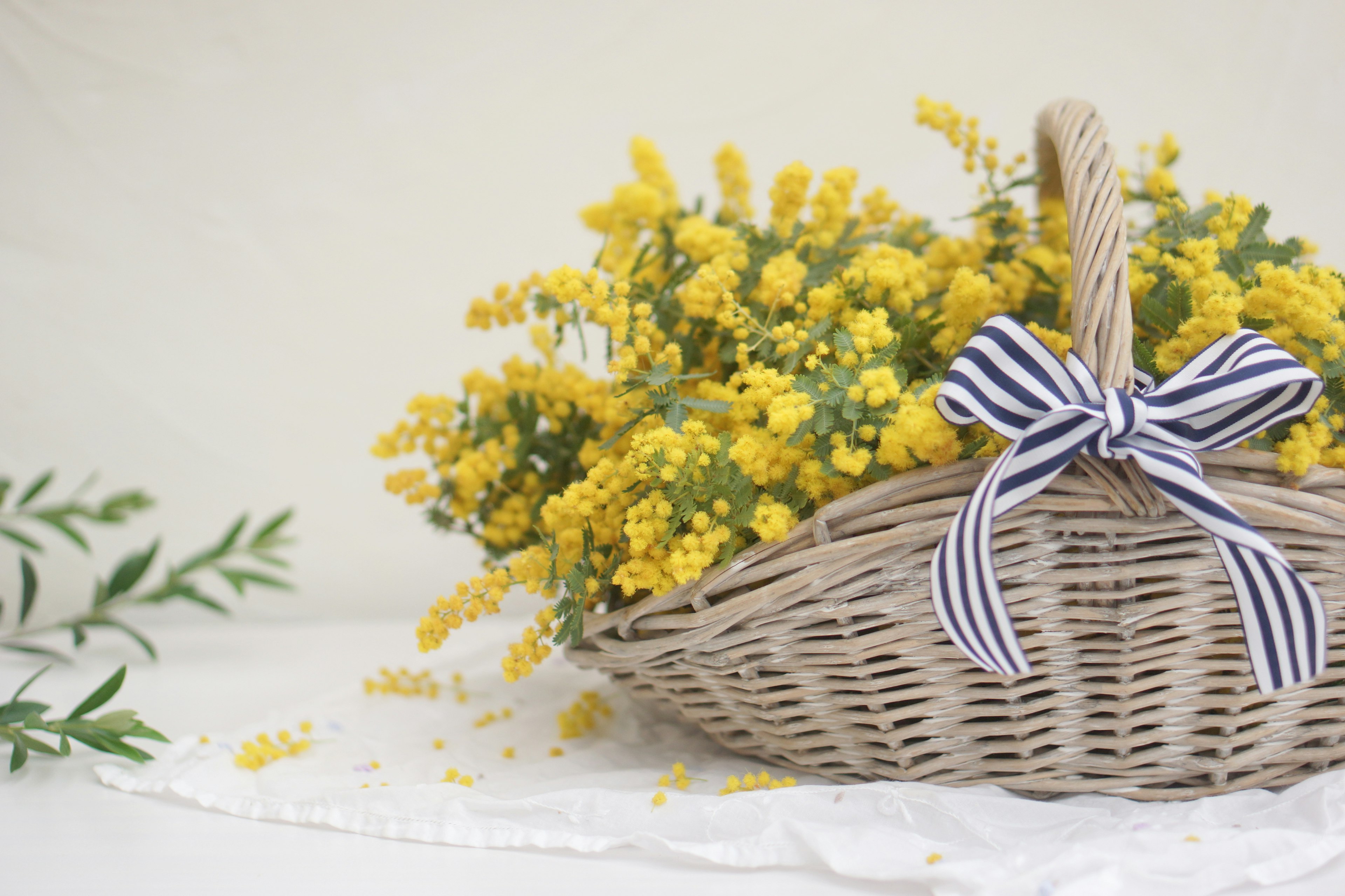 Ein Weidenkorb gefüllt mit gelben Blumen und einem gestreiften Band