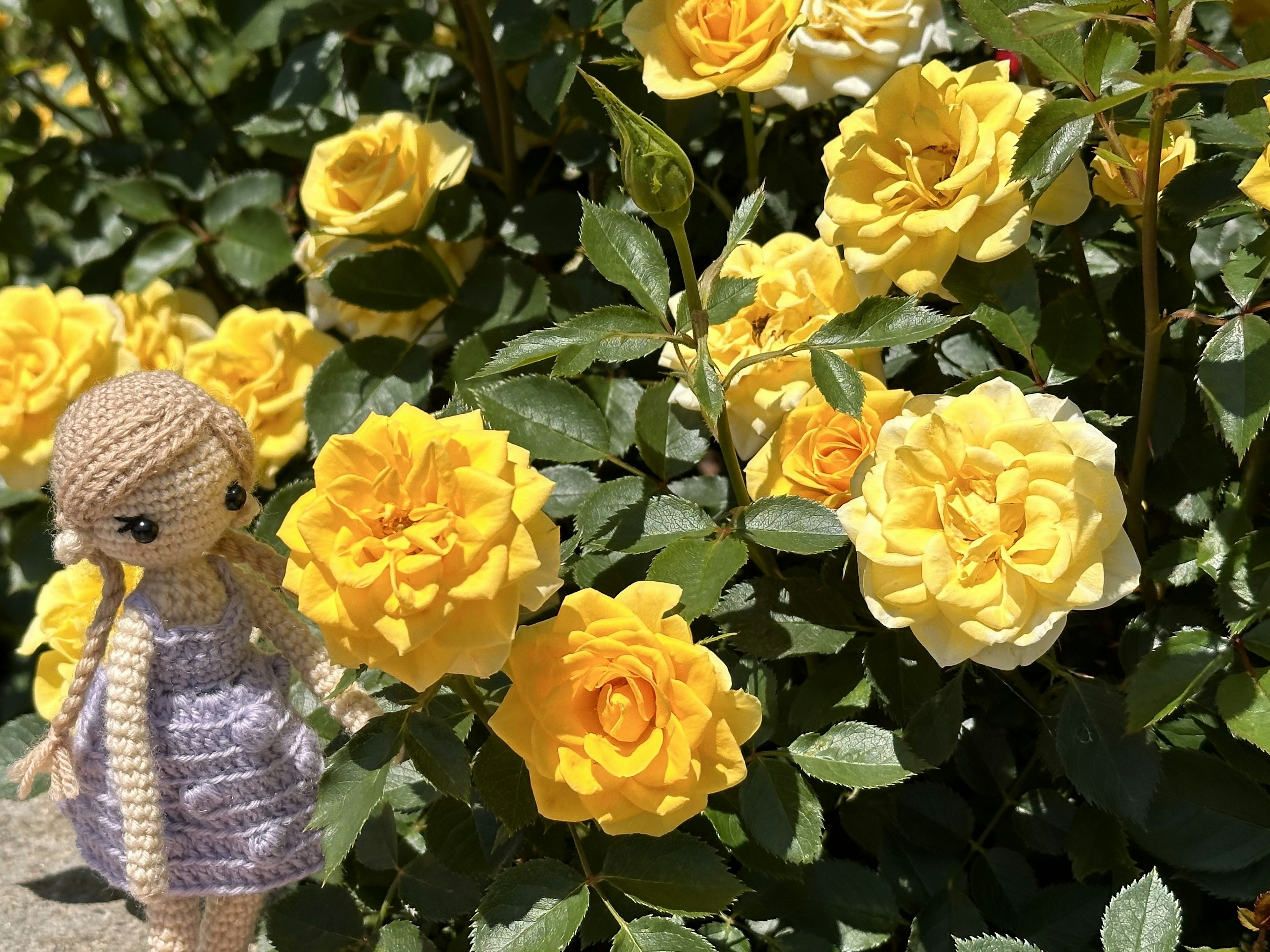 Fée en crochet se tenant devant des roses jaunes