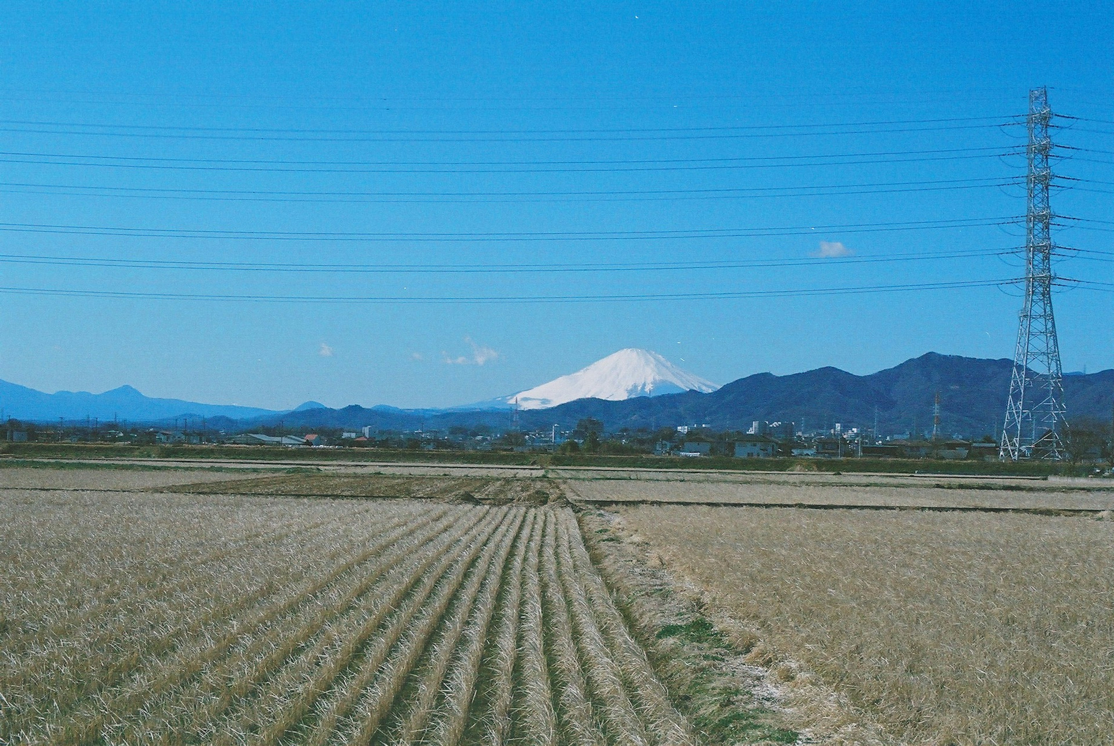 田んぼと山の景色にそびえる雪をかぶった山と電柱