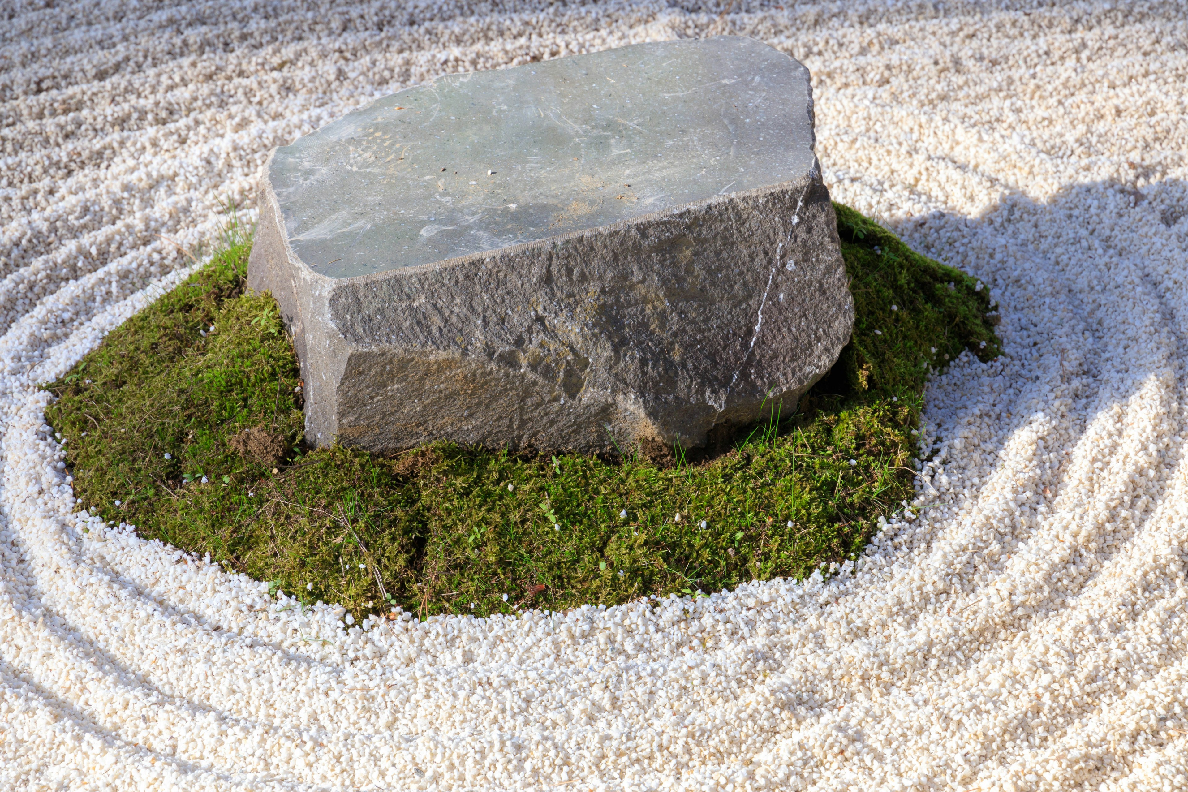 Large stone surrounded by white sand and moss