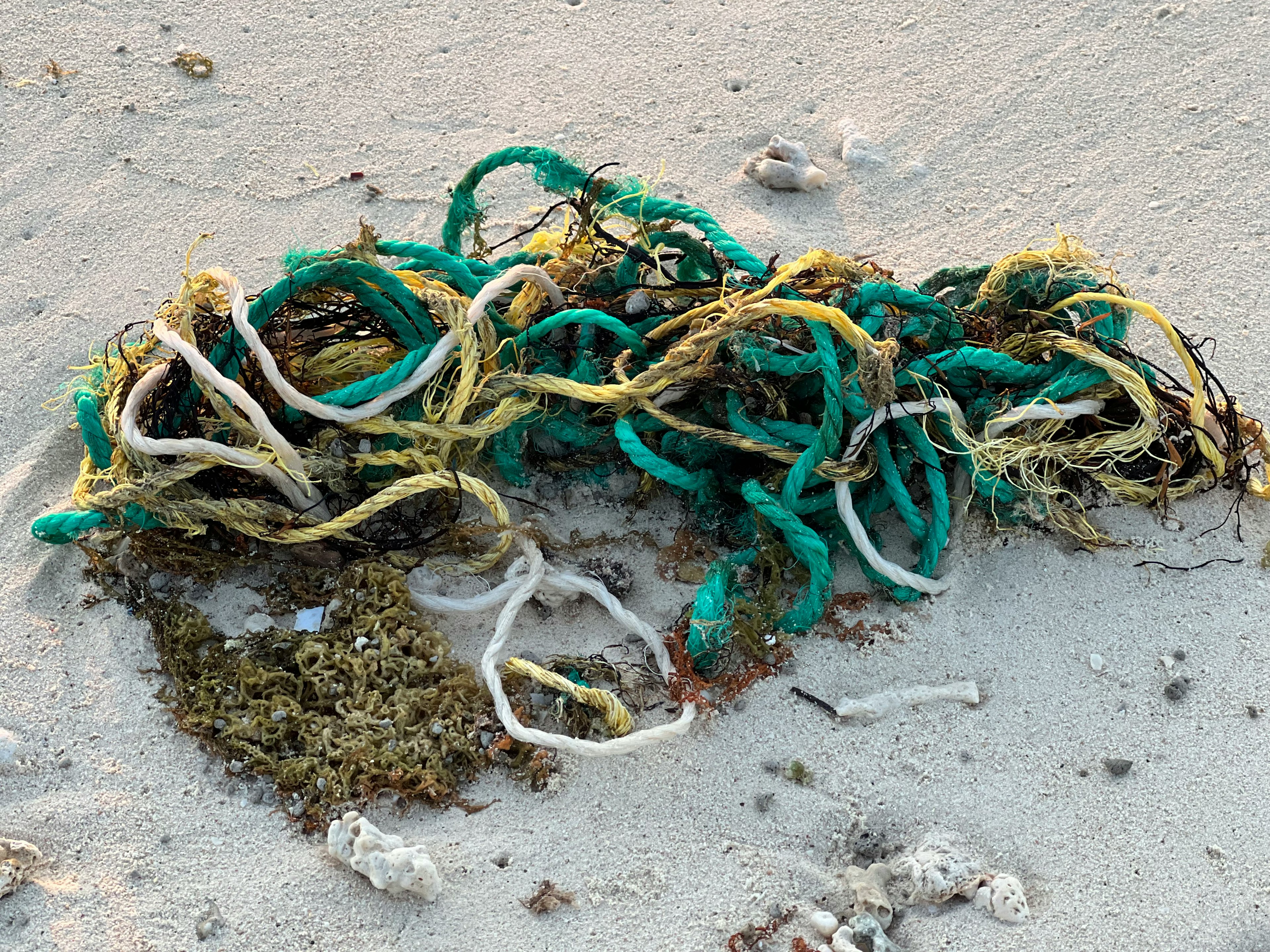 砂浜にある緑と黄色のプラスチックのロープと海藻