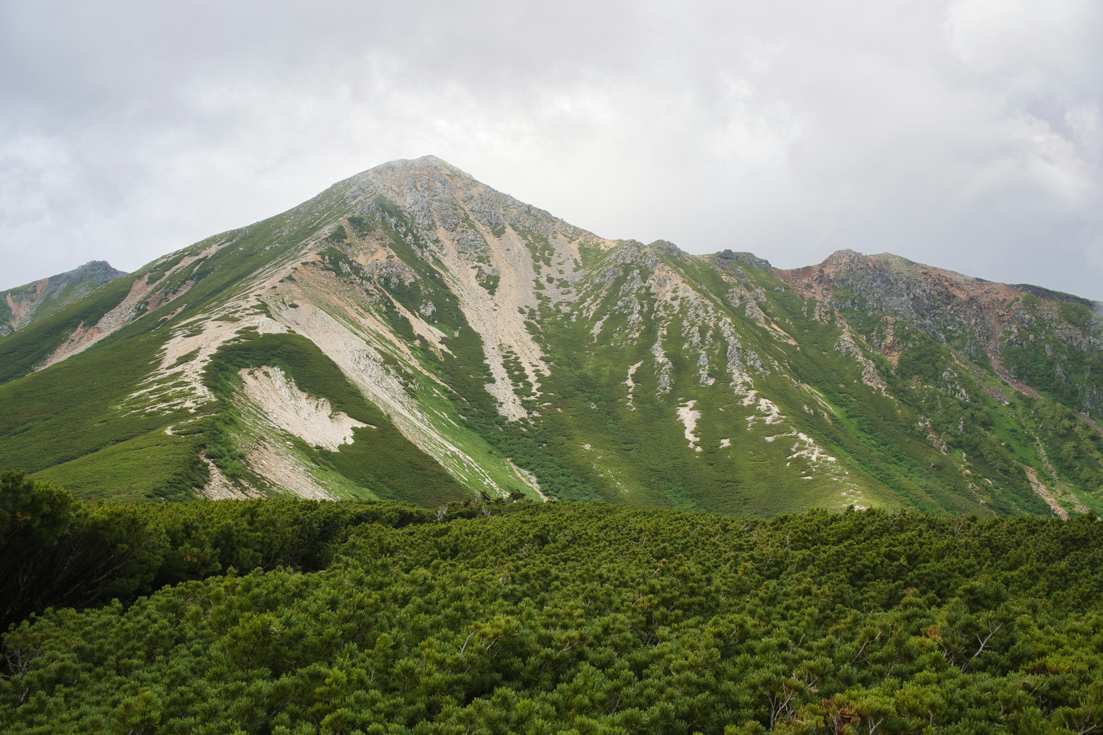 Pemandangan gunung hijau subur dengan langit mendung