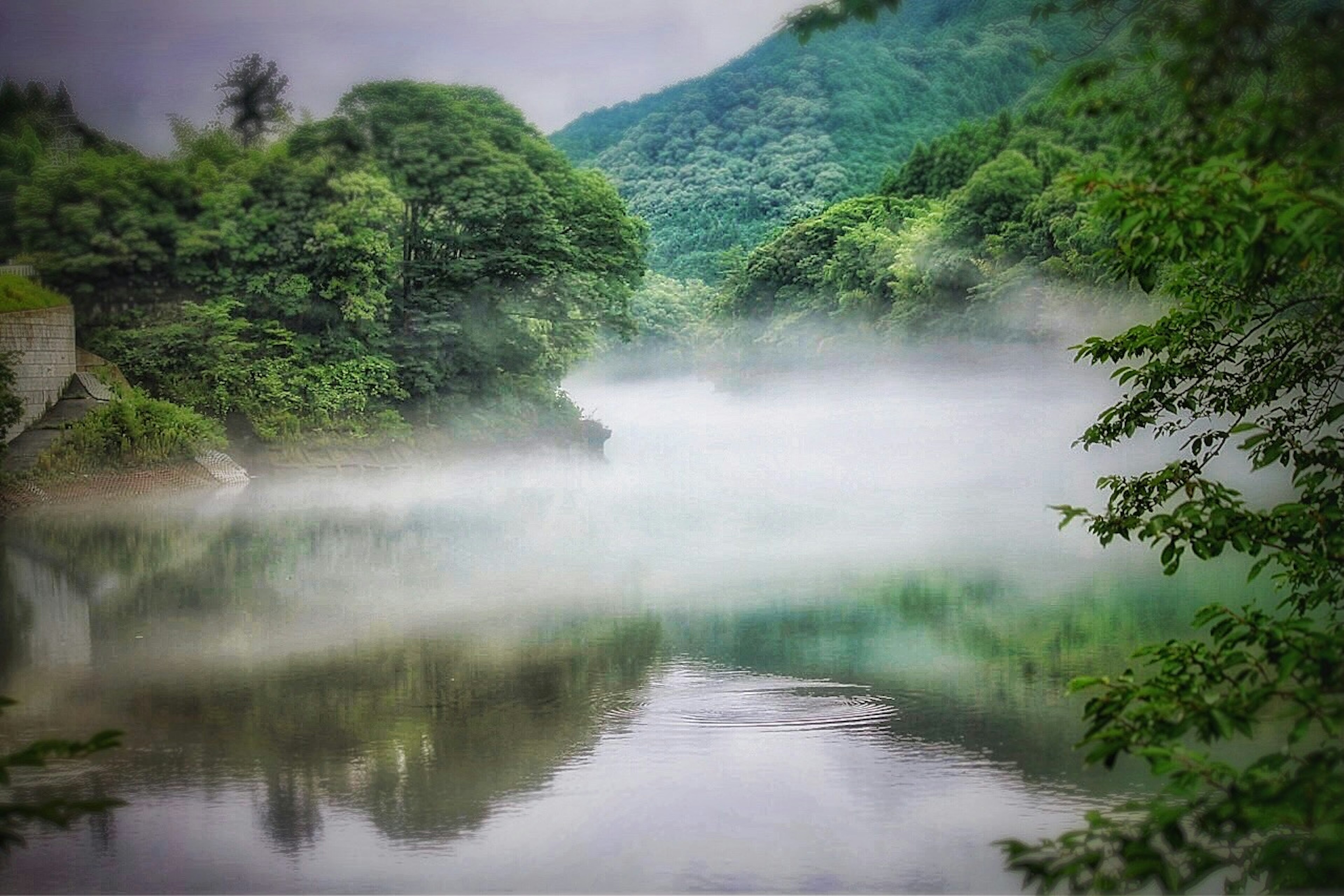 霧がかかった川と緑豊かな山々の風景