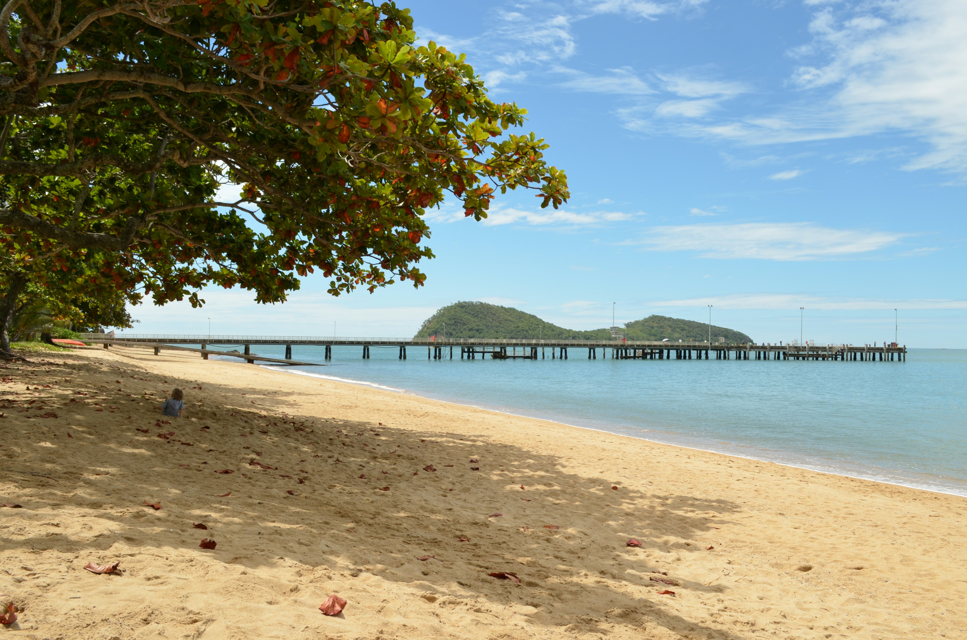 Scène de plage avec un quai, des arbres verts et une mer calme