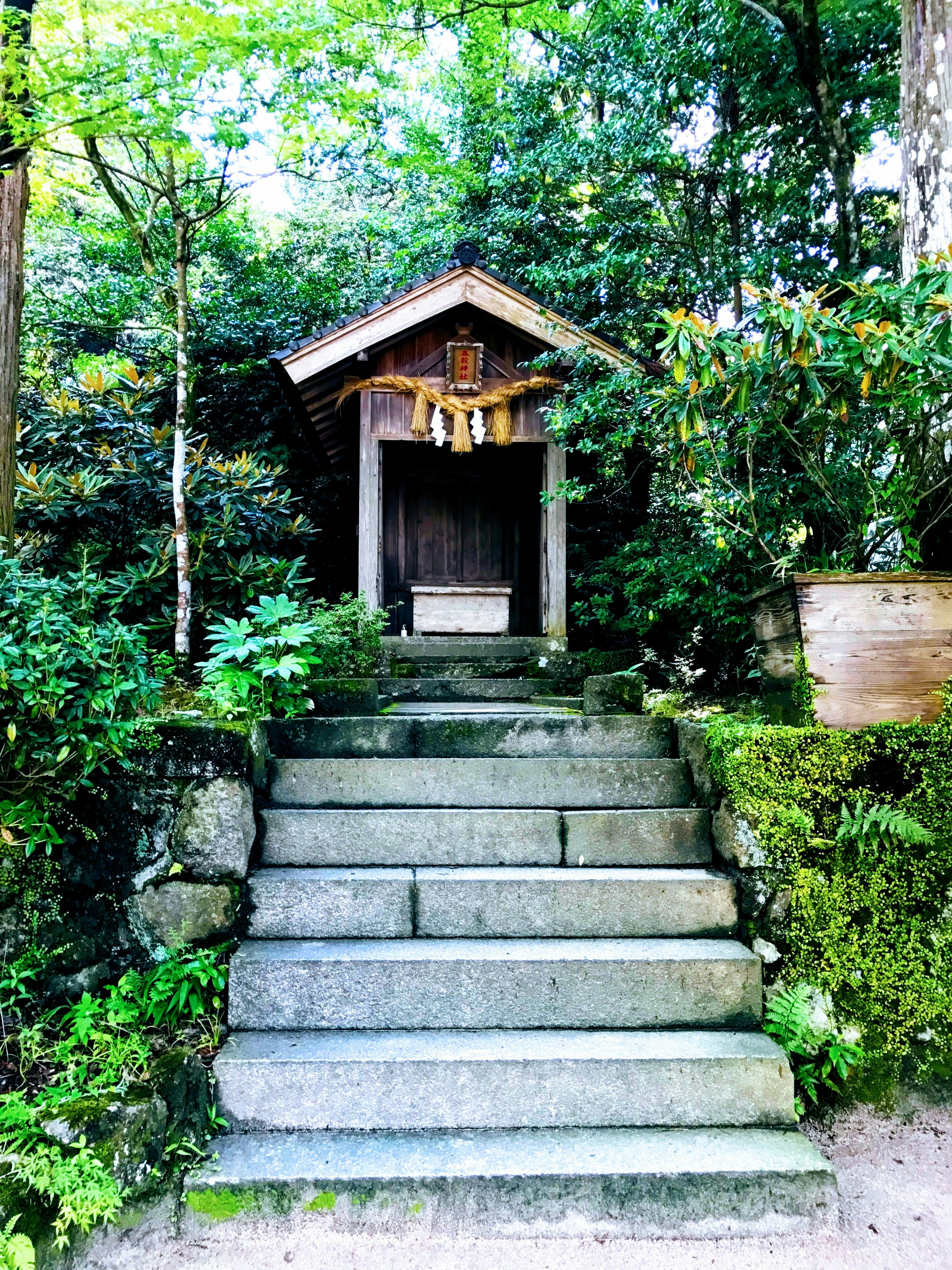 Entrance of a shrine surrounded by greenery with stone steps