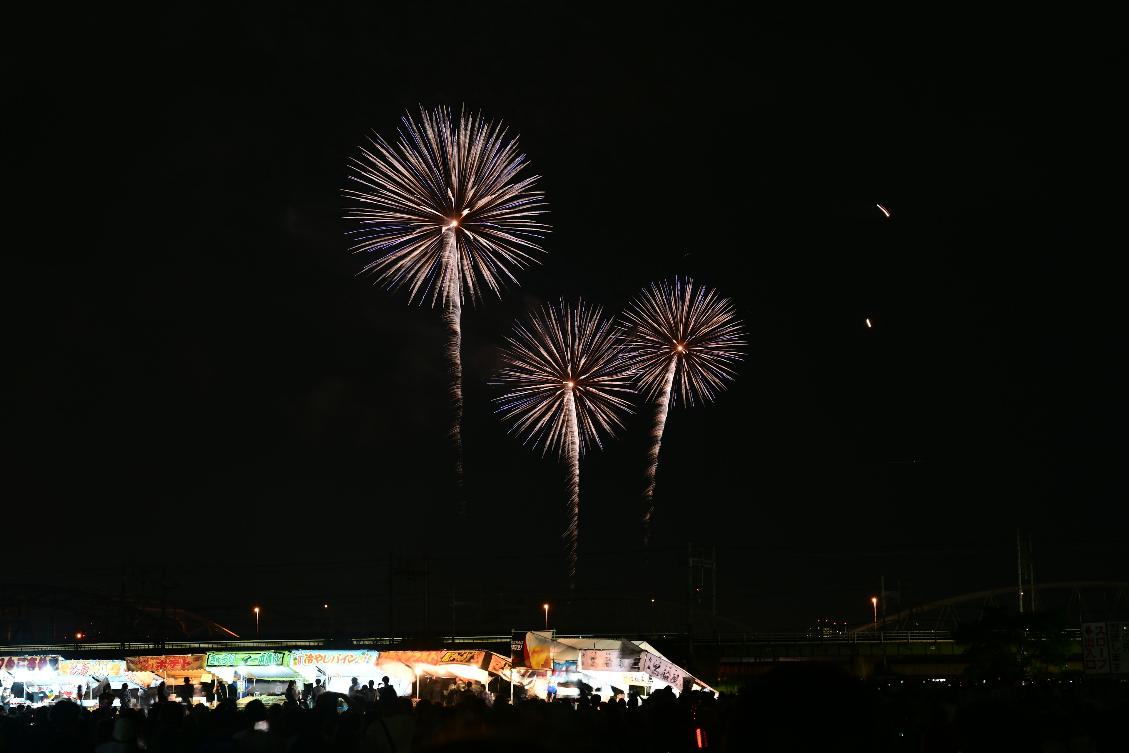 Large fireworks blooming in the night sky with spectators below