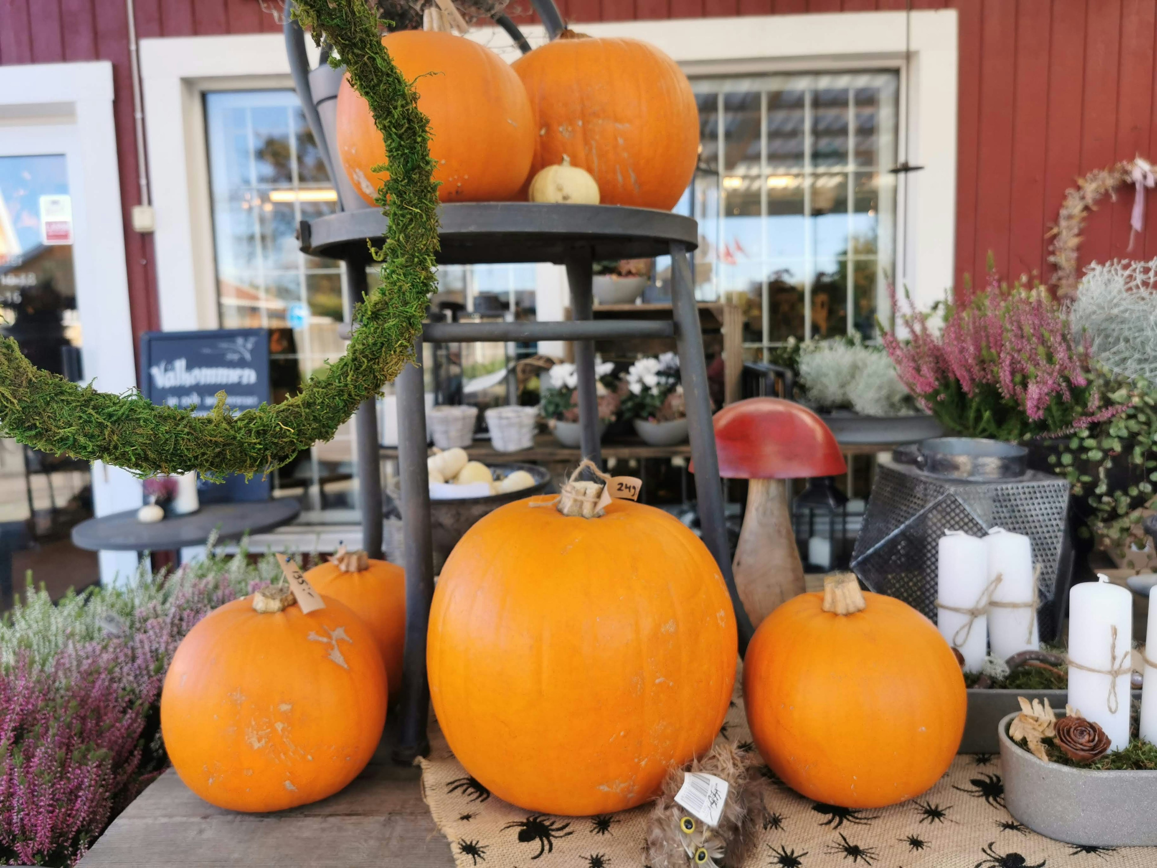 Exhibición de calabazas naranjas con elementos decorativos en un entorno al aire libre