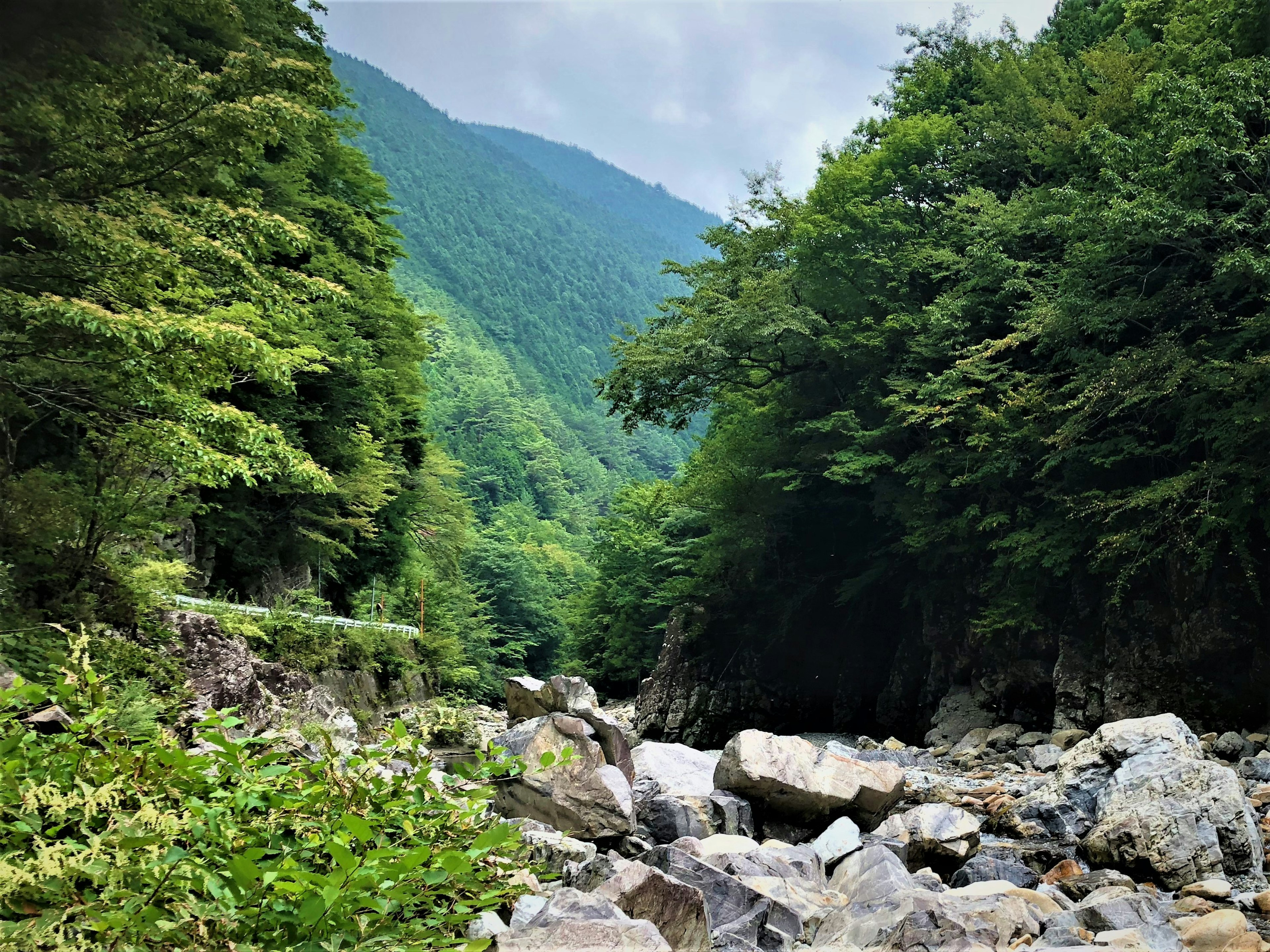 Malersiche Aussicht auf ein Tal umgeben von üppigen grünen Bergen mit einem felsigen Flussbett