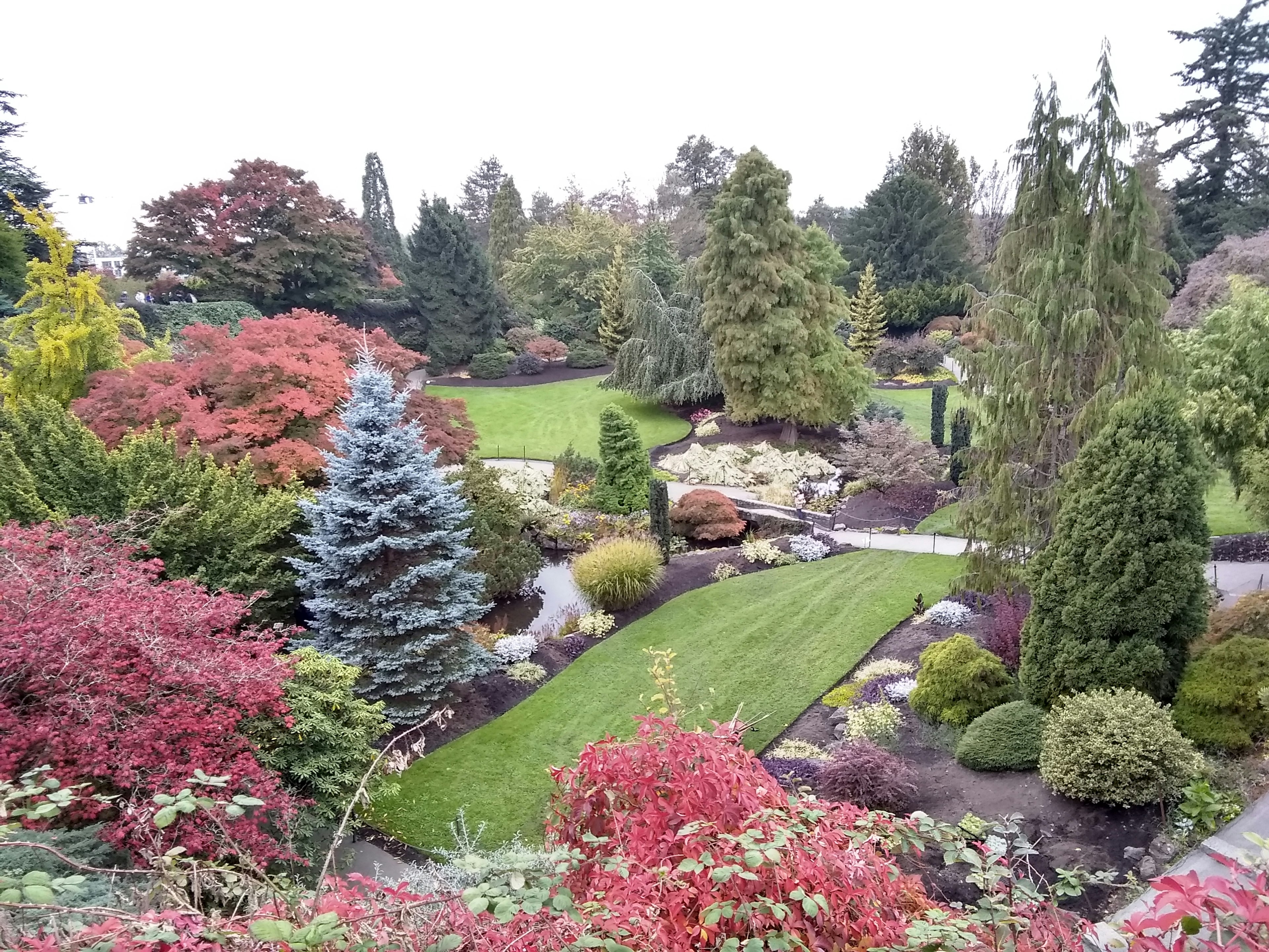 Lebendige Gartenlandschaft mit buntem Laub grünem Rasen und Felsformationen