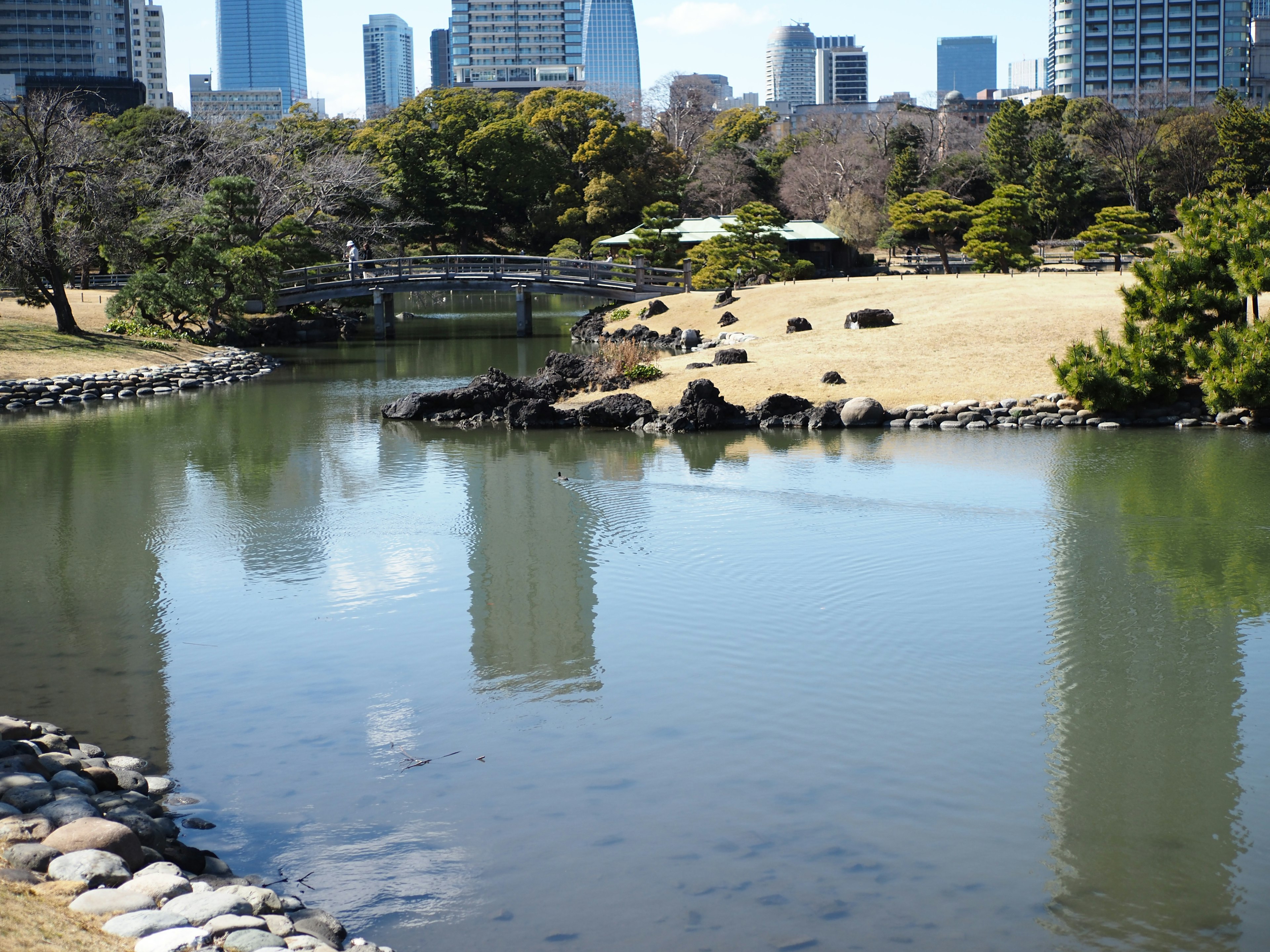 水面に映る高層ビルと緑豊かな公園の風景