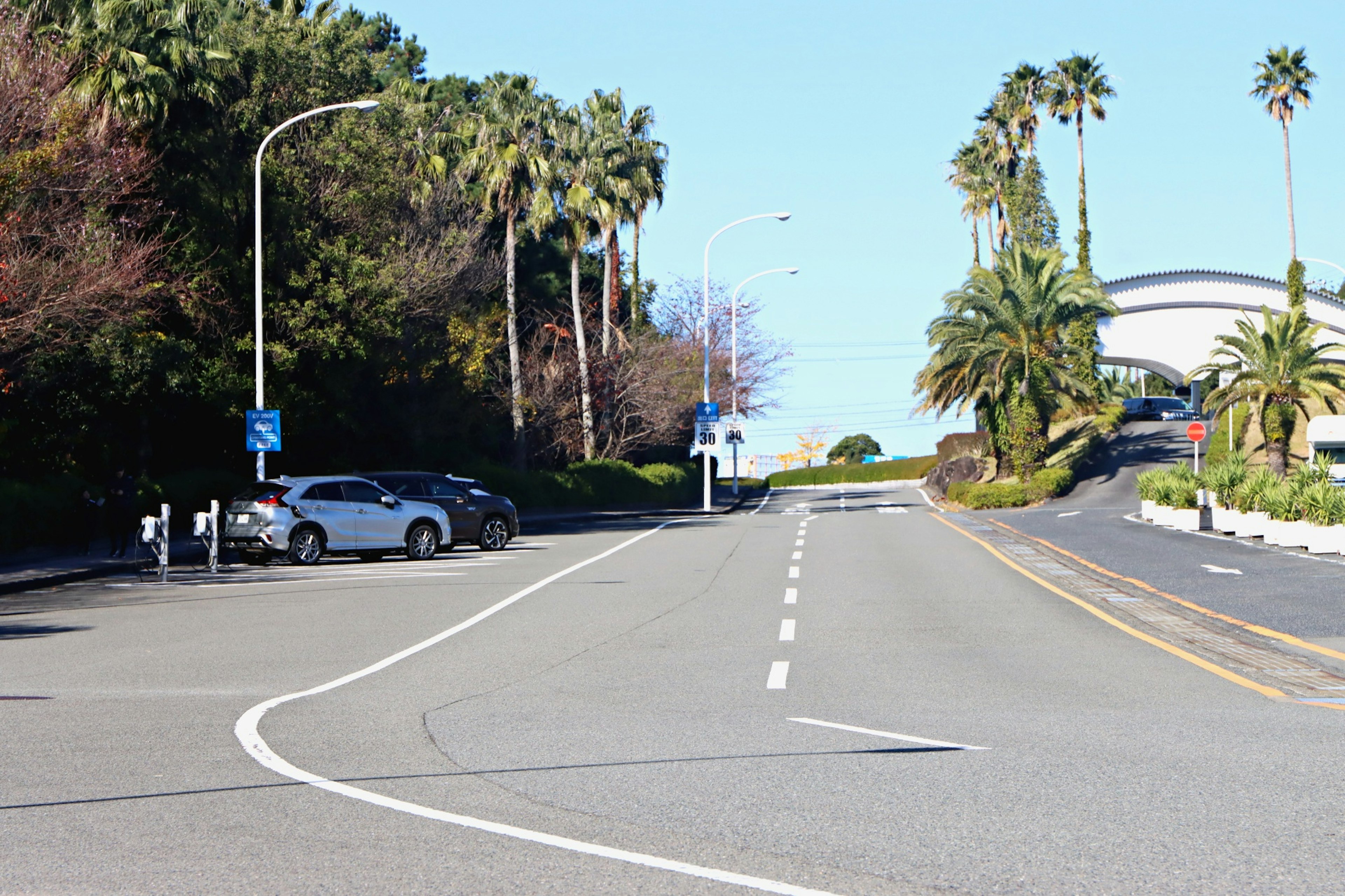 Scenic road surrounded by greenery with vehicles and streetlights