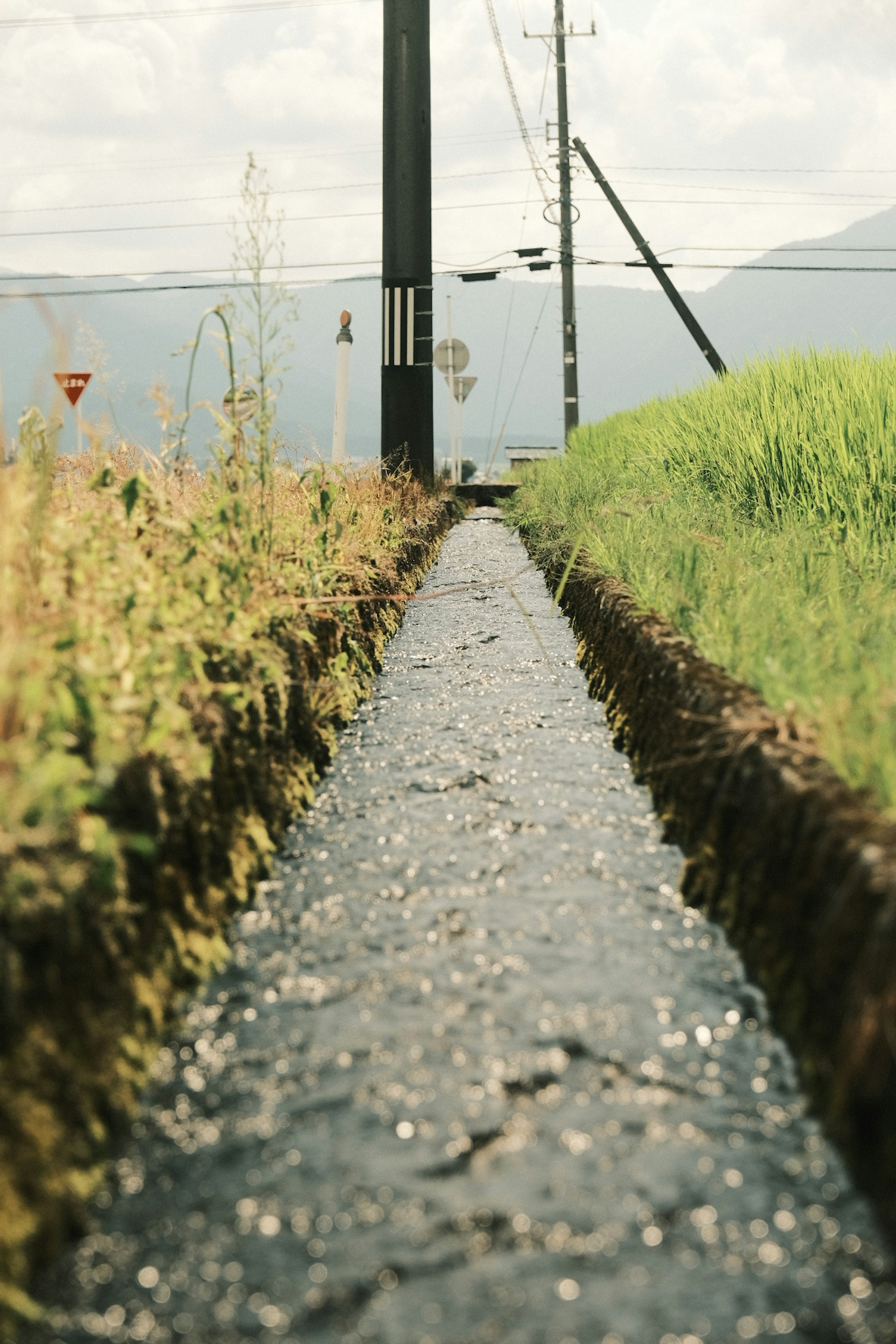 农村景观，有水道和周围草地