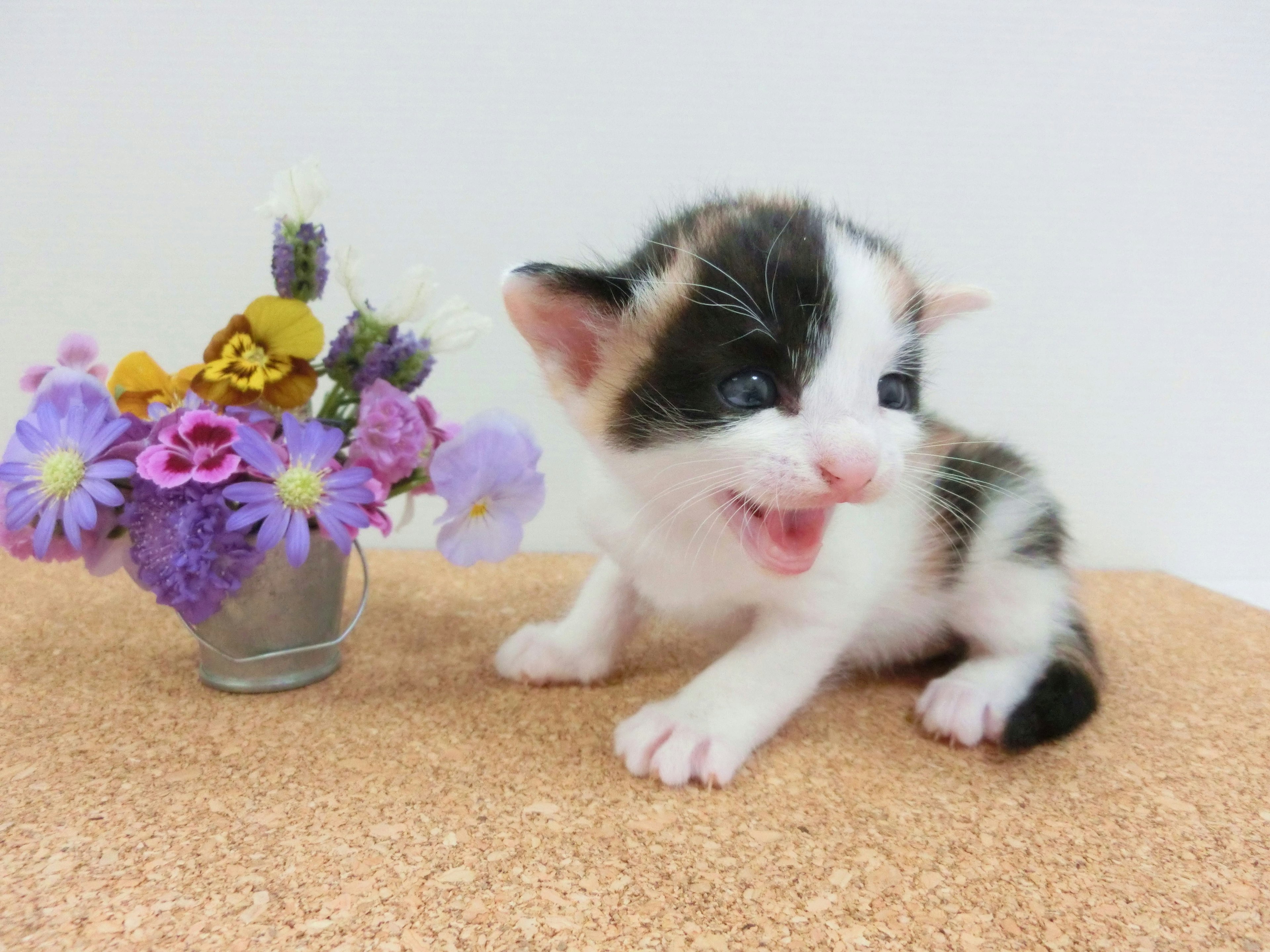 A small kitten playing beside a flower arrangement