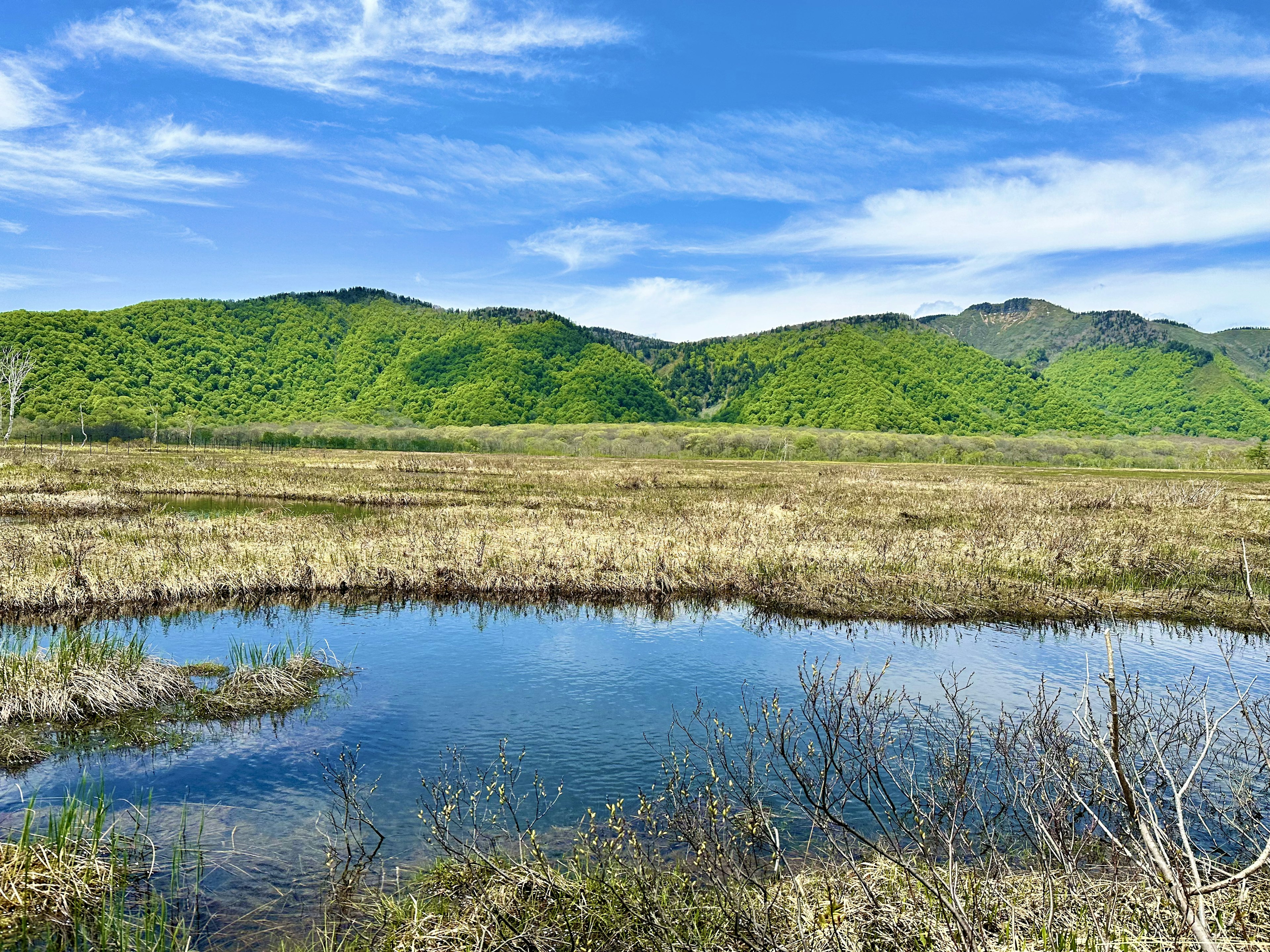 Feuchtgebiet mit blauem Himmel und grünen Hügeln