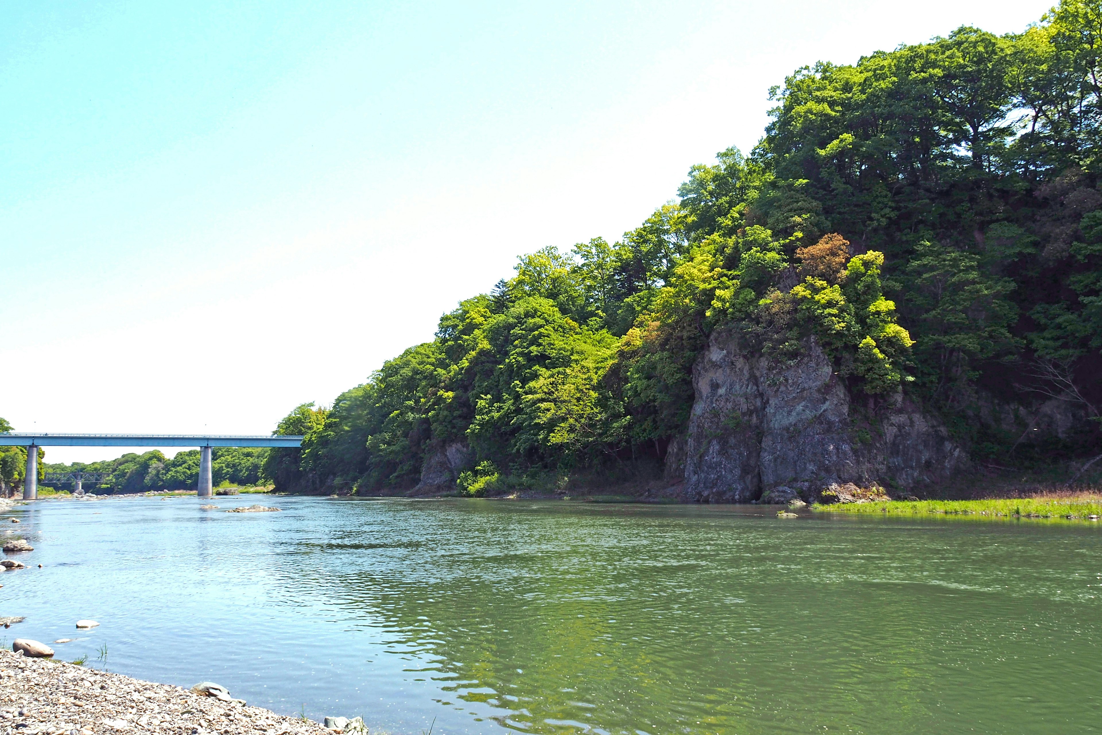 Üppiger Flussufer mit ruhigem Wasser und einer Brücke im Hintergrund