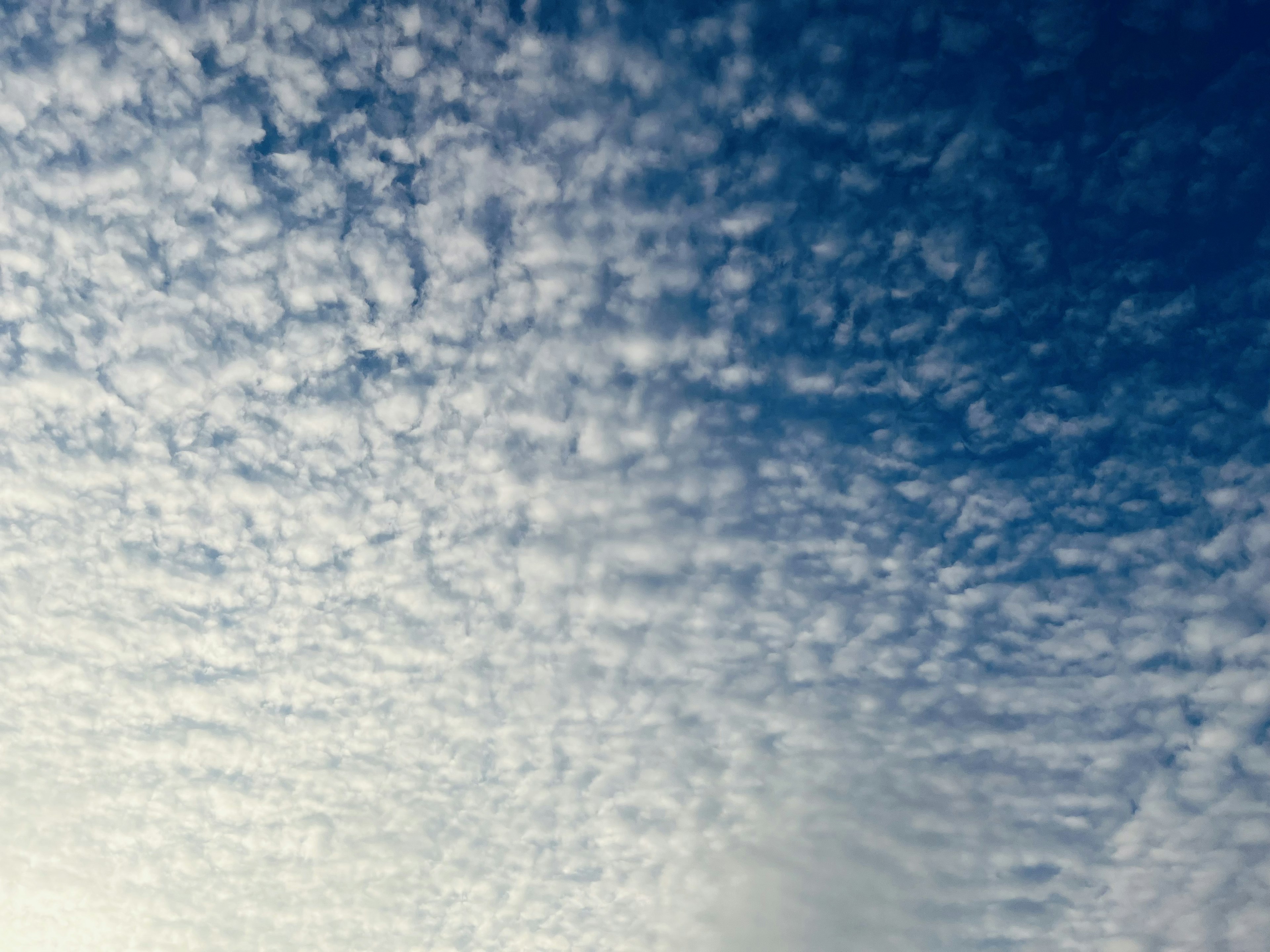 Pemandangan indah awan putih yang tersebar di langit biru