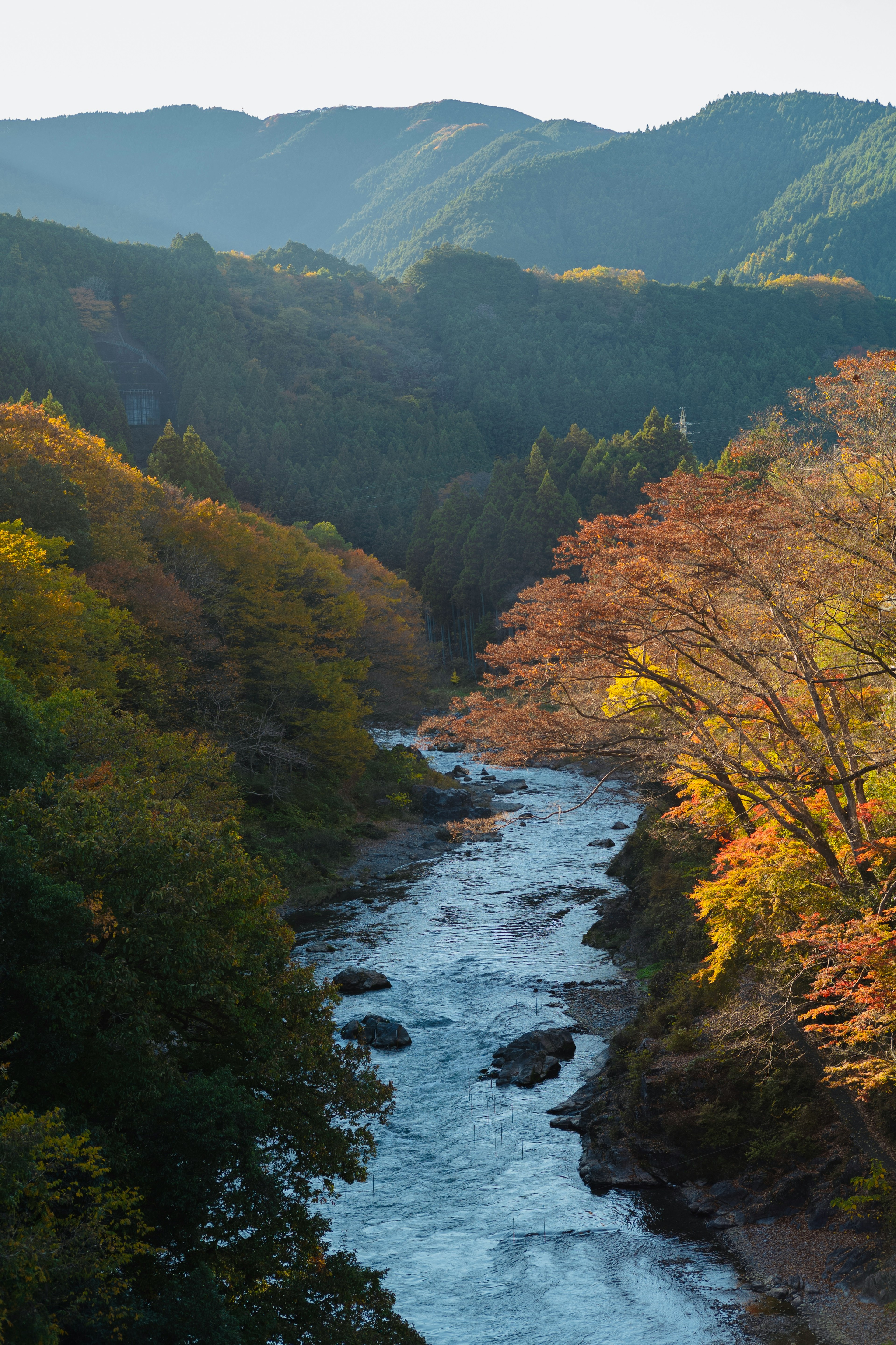 美しい渓谷と秋の紅葉が見える川の風景