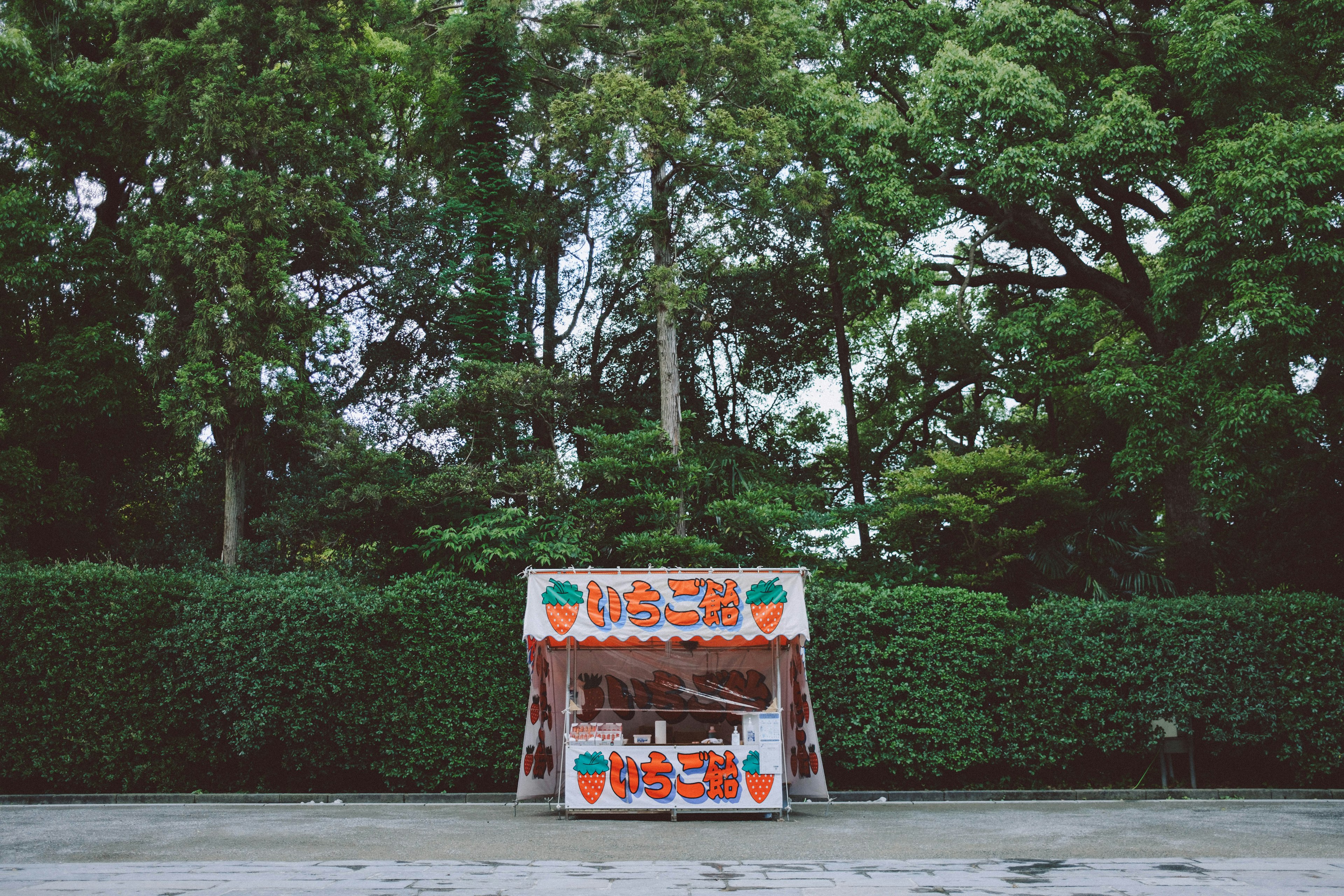 A food stall surrounded by lush green trees featuring orange decorations